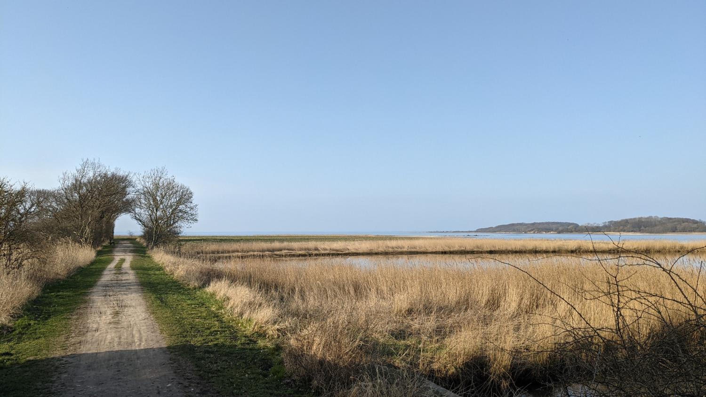 Holtdeel