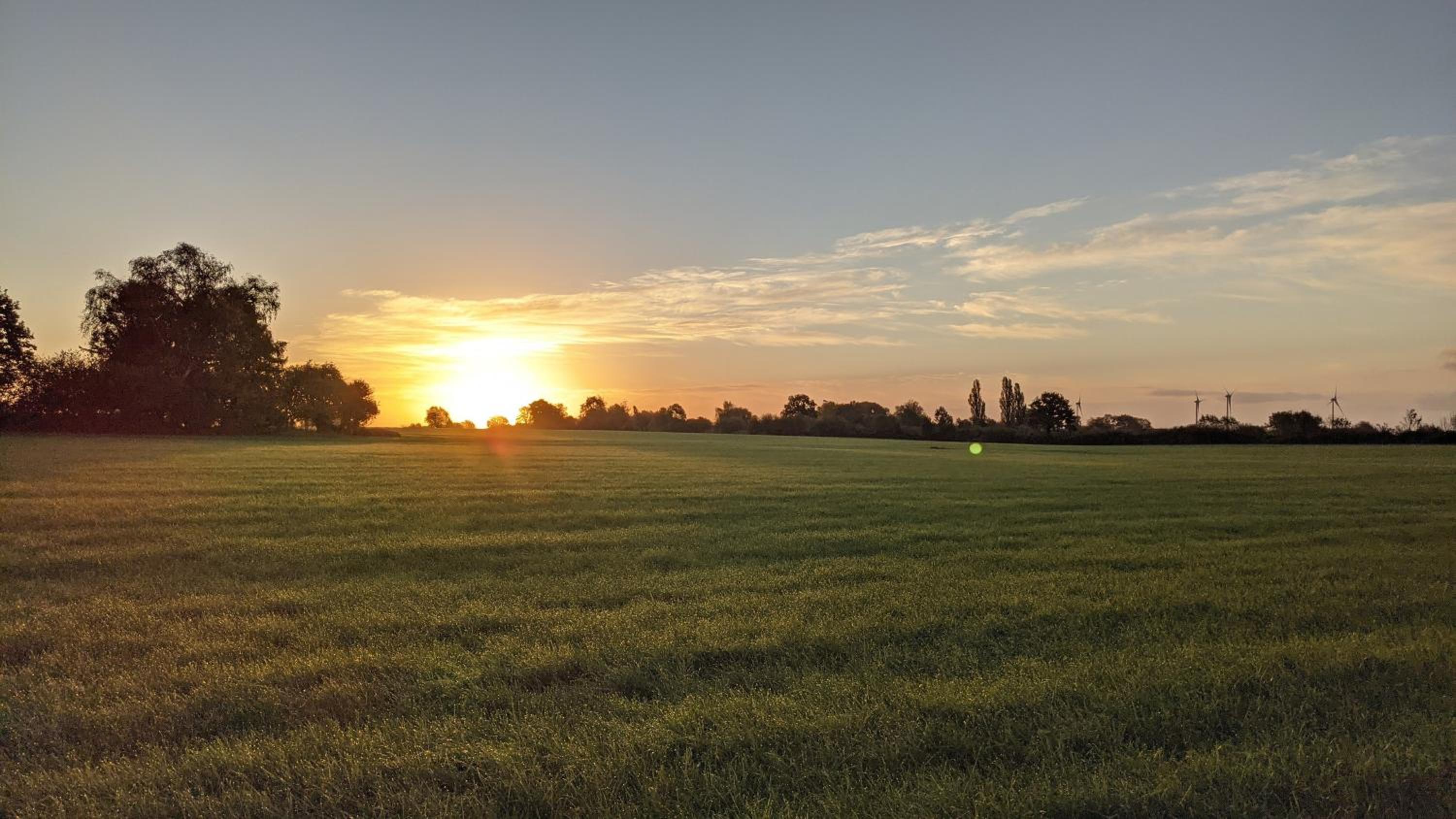 Holtdeel
