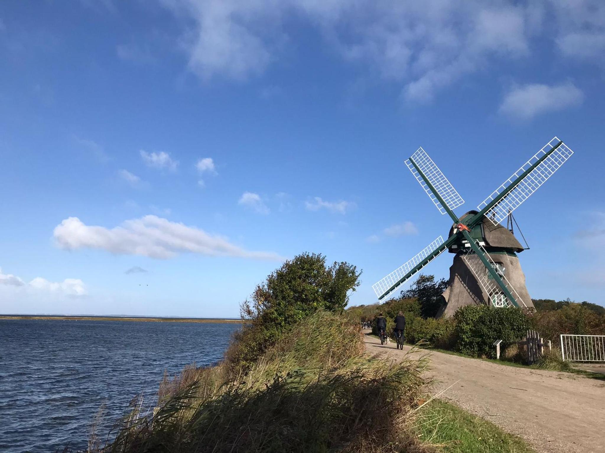 Holtdeel