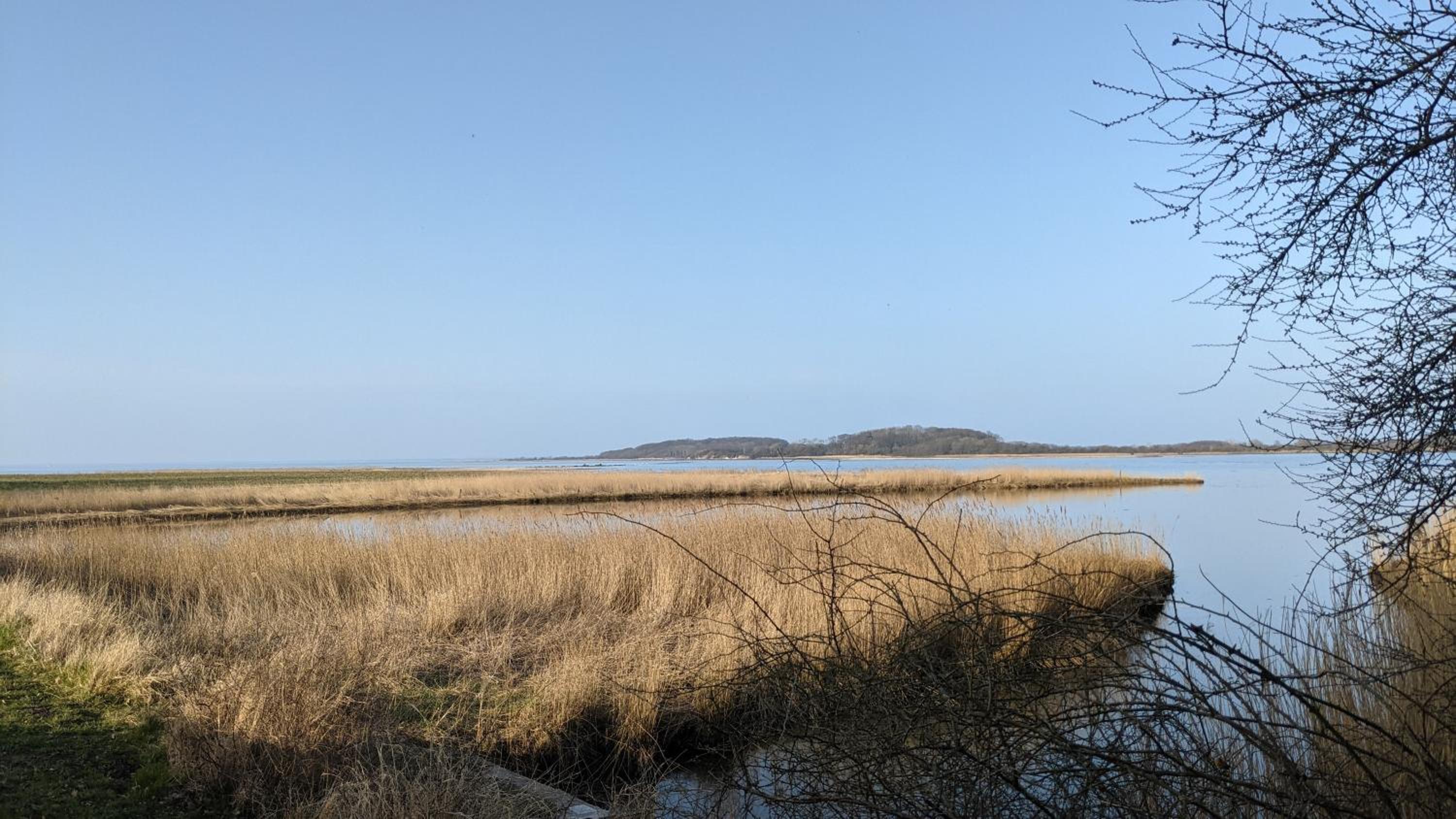 Holtdeel