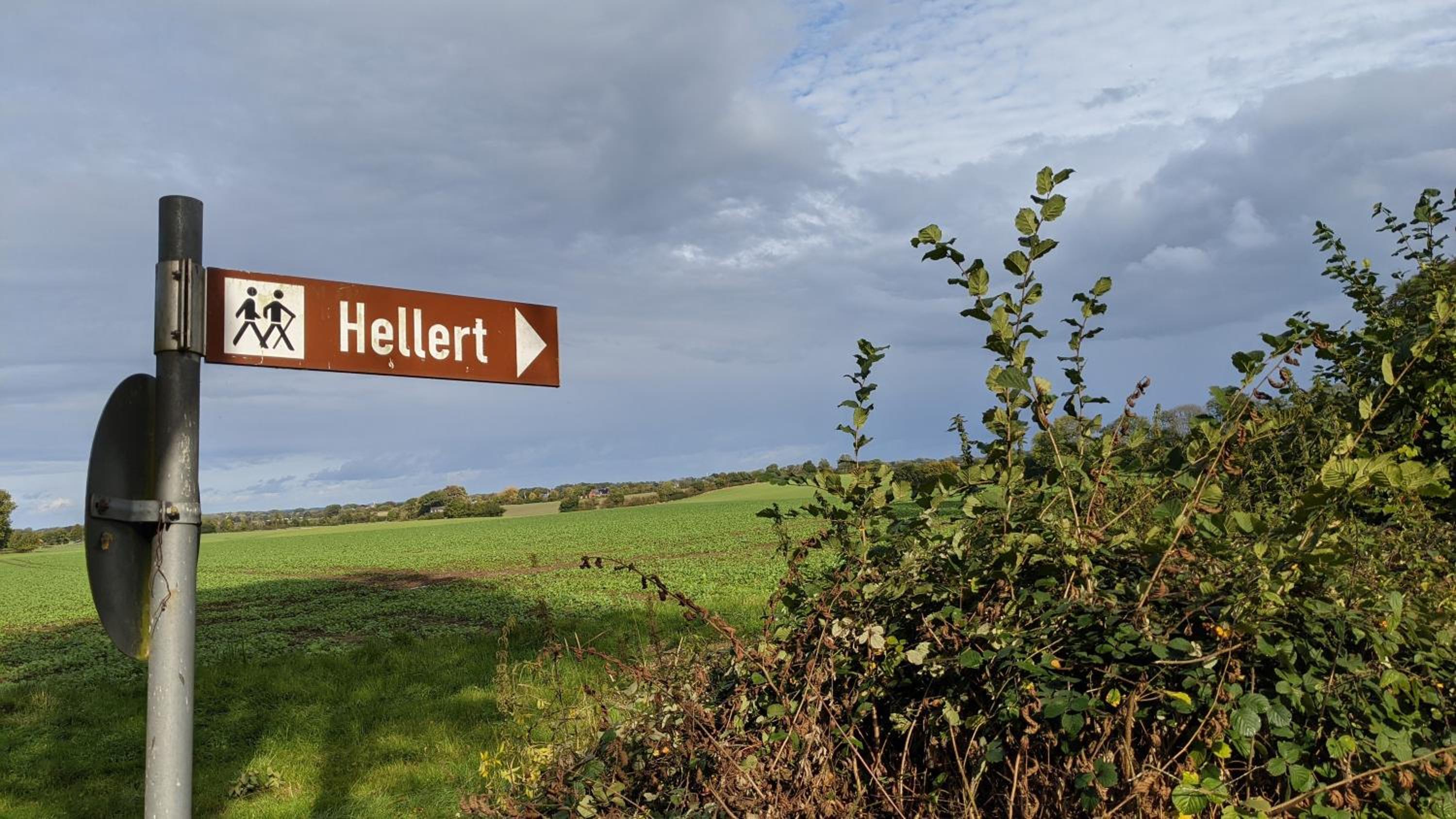 Holtdeel