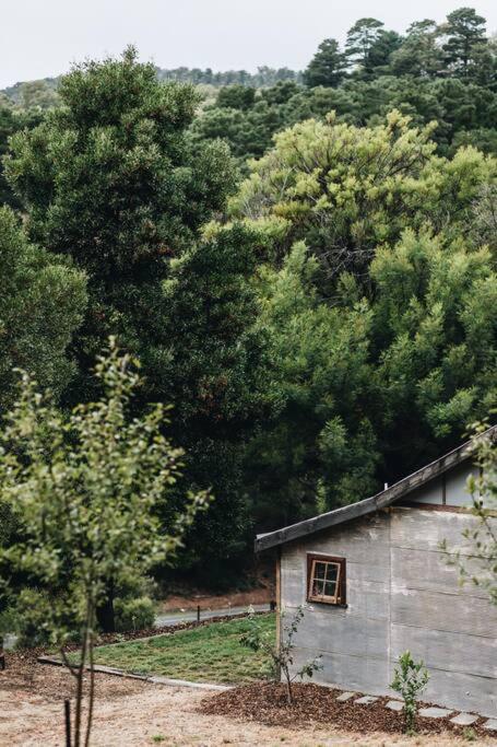 Pickers Hut - A Country Style Featured Dream Stay