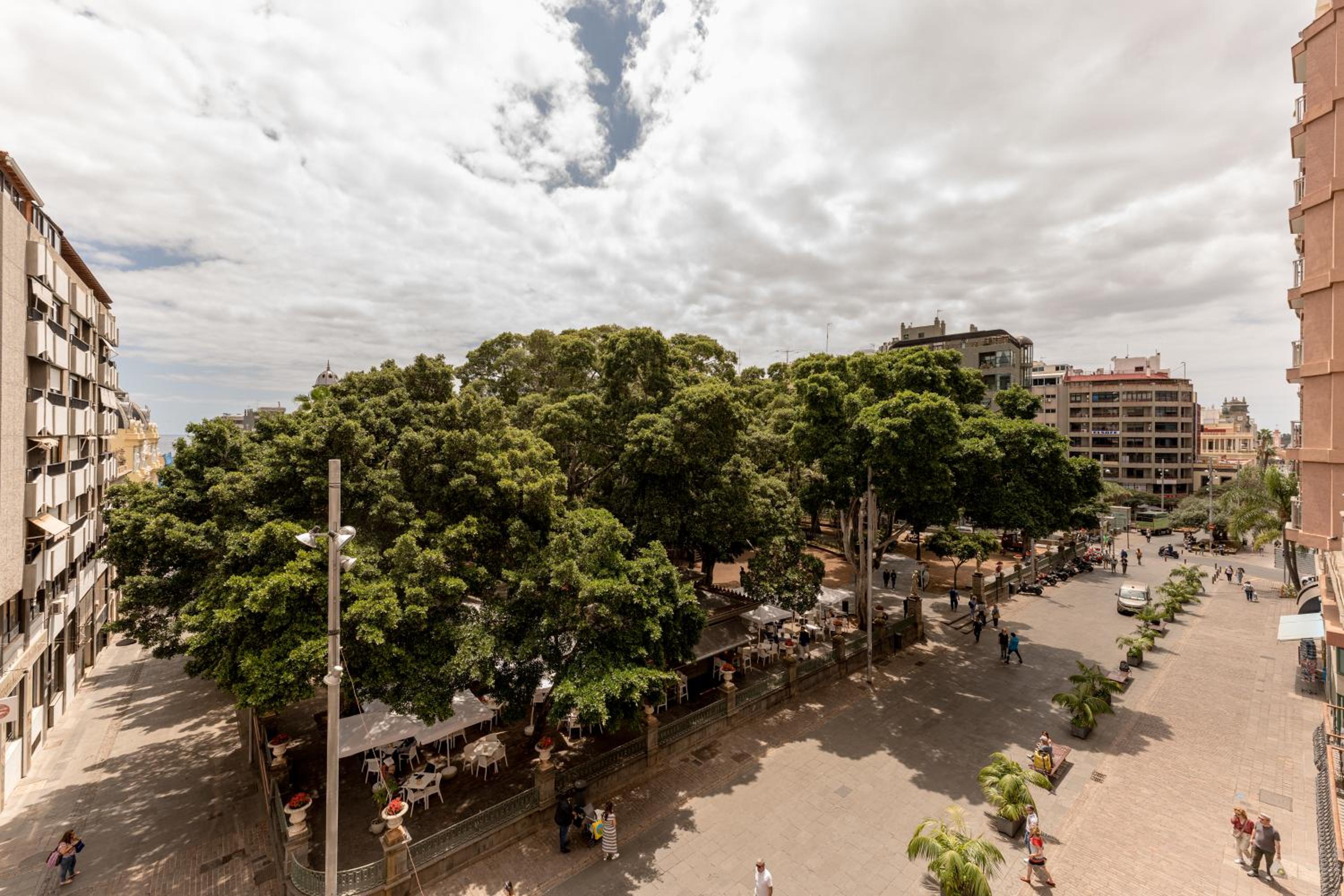New 4 bedroom in Plaza del Principe photo 3