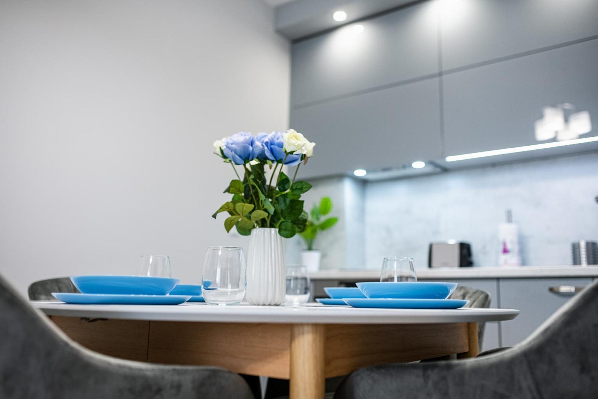 Brand New Downtown Apartment