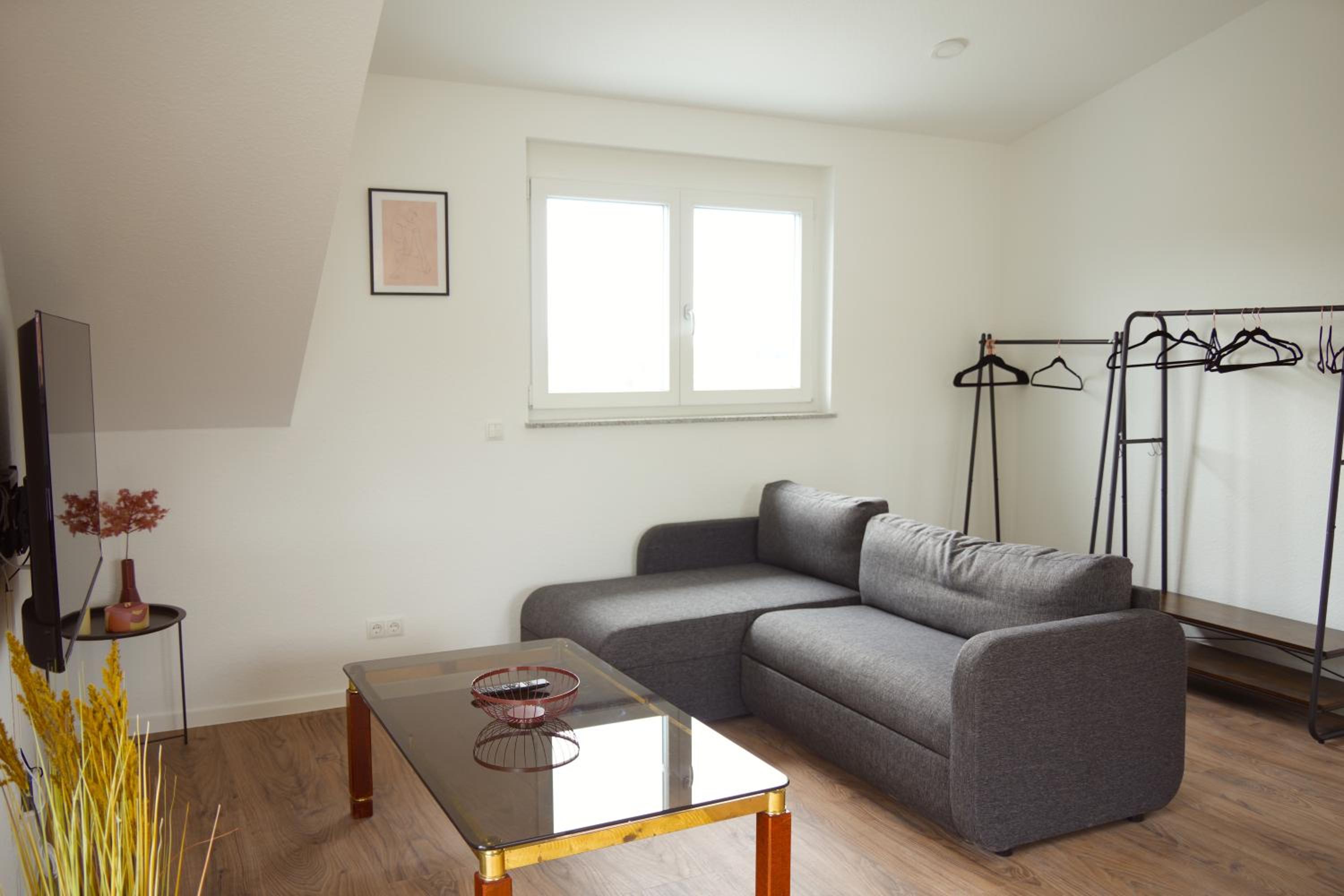 Exklusive Neubauwohnung mit wundervoller Aussicht nähe Europapark und Rulantica