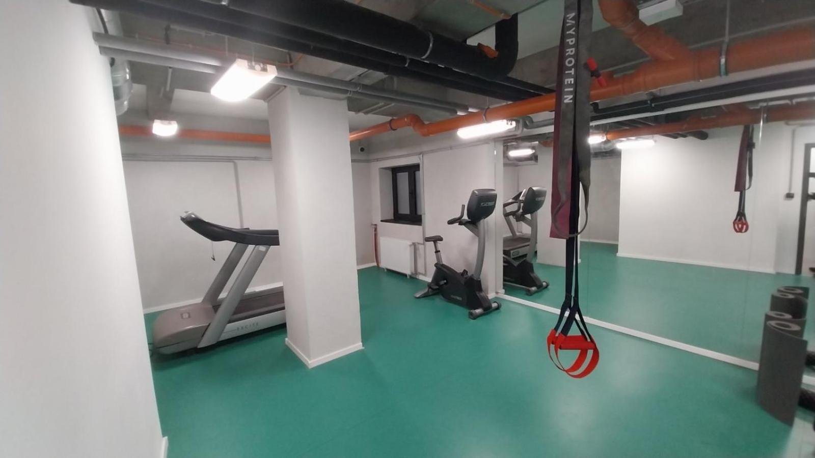 Peaceful Basement Apartment with Terrace & free GYM
