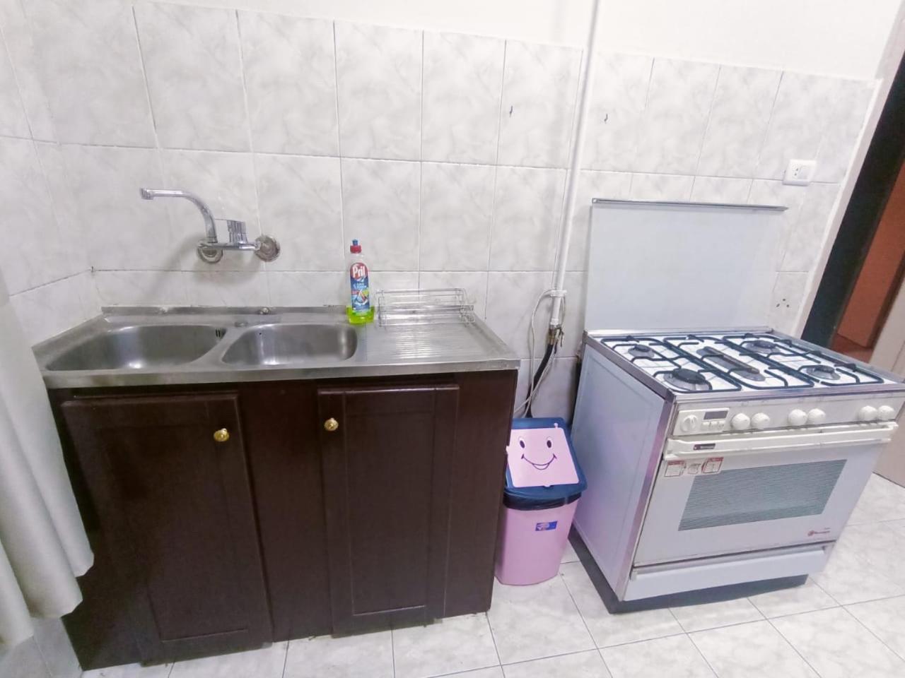 Nile view apartment
