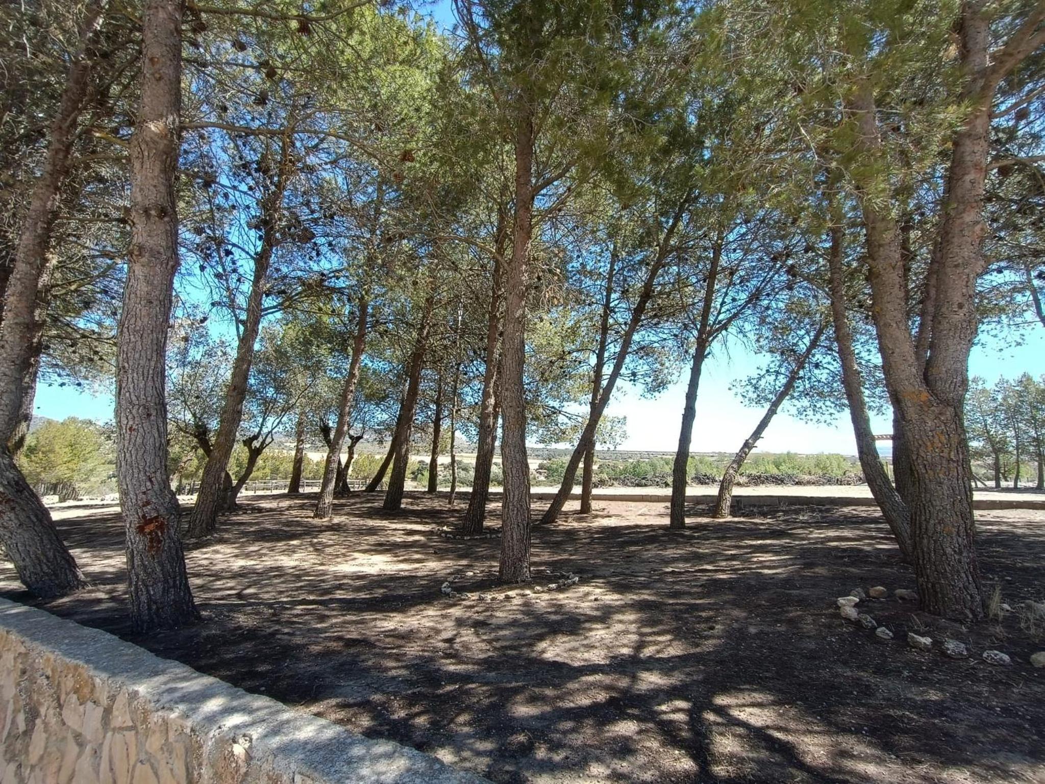 Photo 8