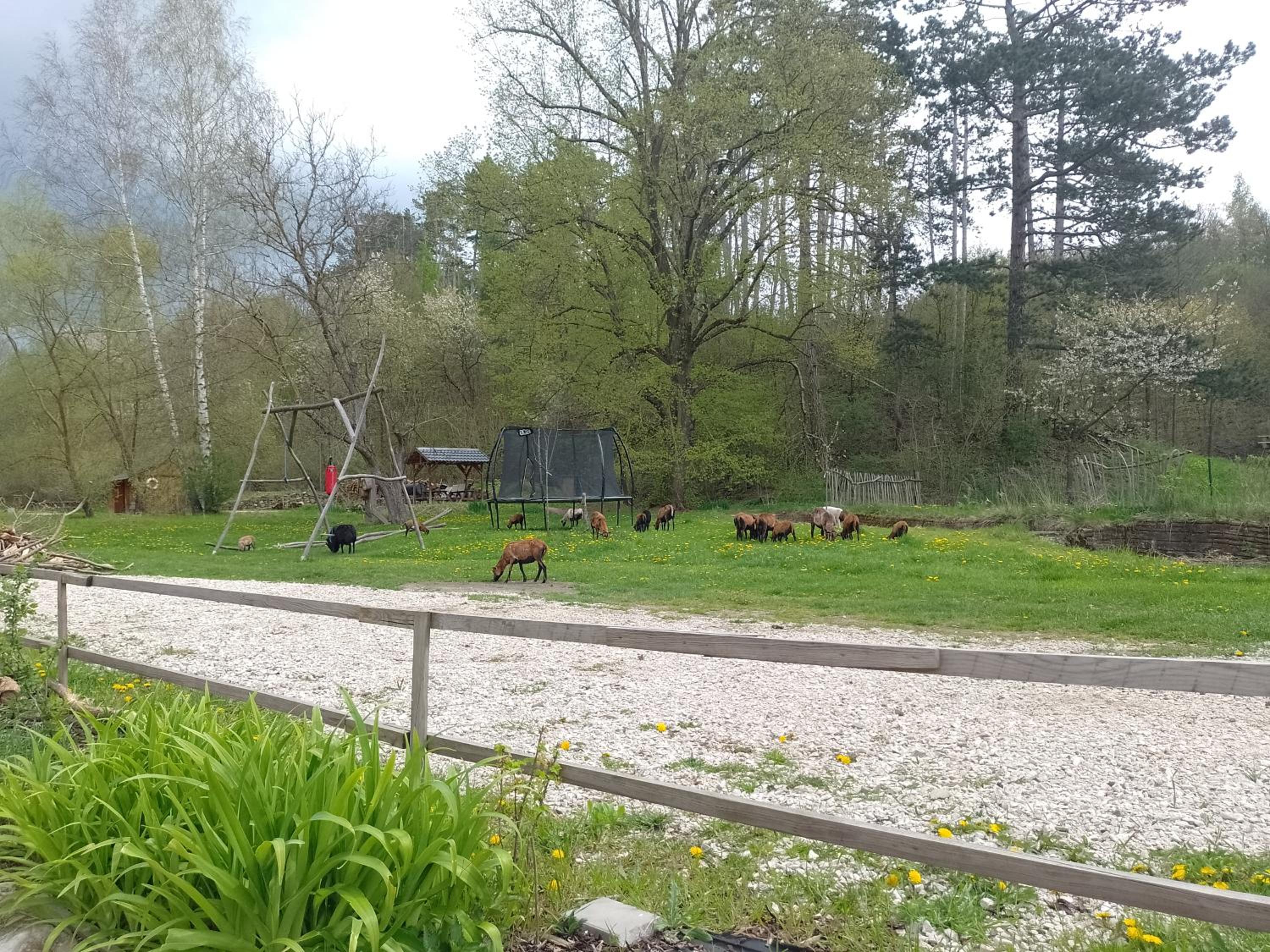 Penzion Litohlavy 17 - Na samotě u lesa