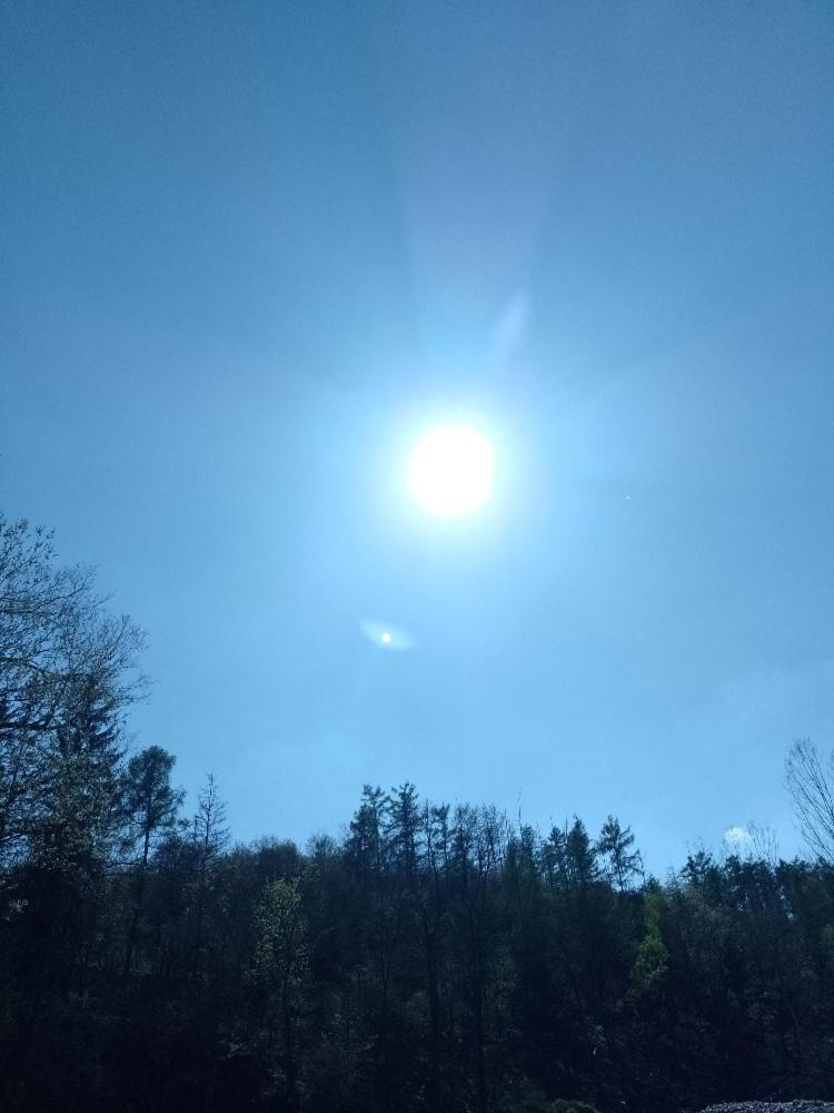 Penzion Litohlavy 17 - Na samotě u lesa