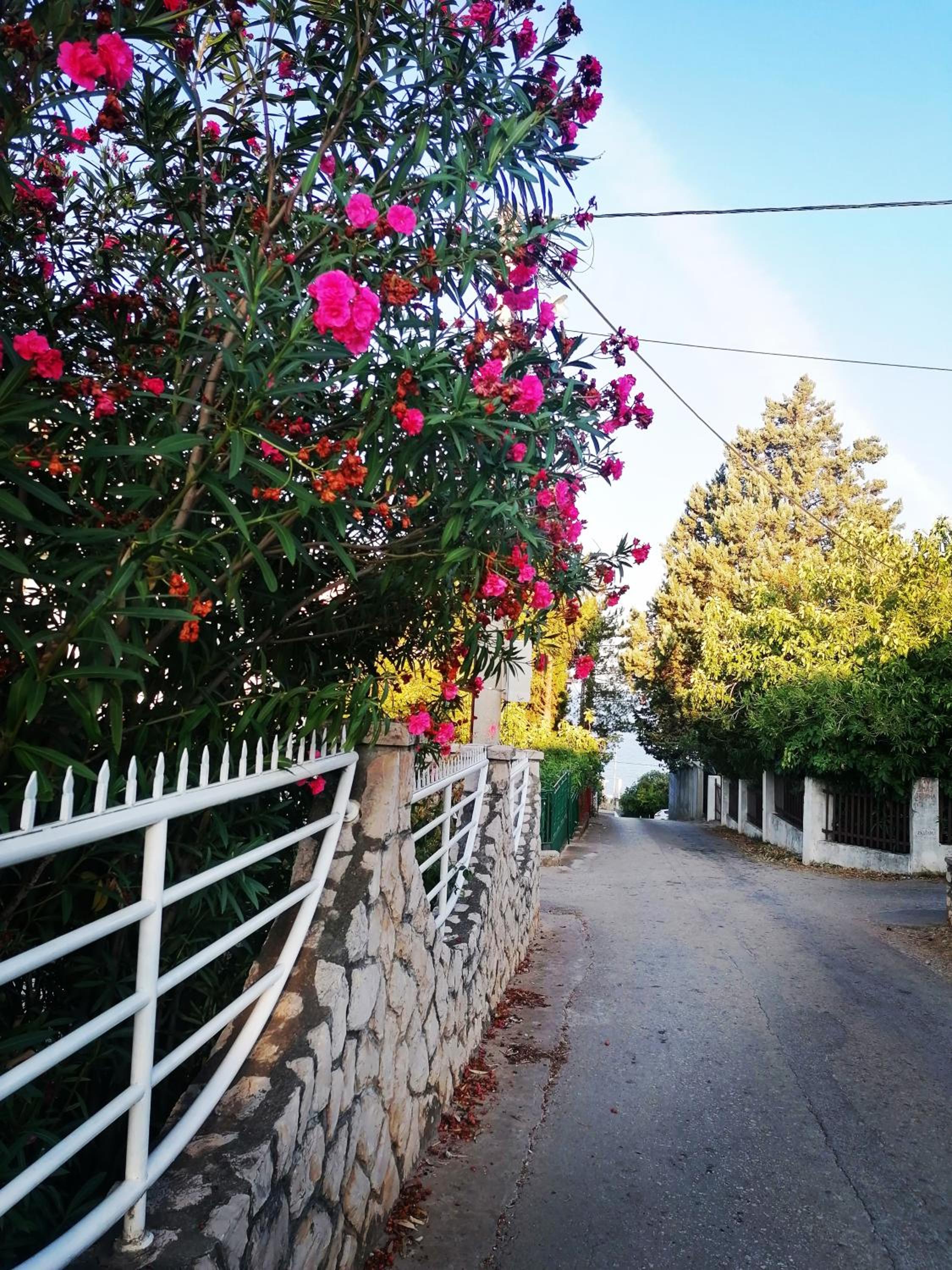 Apartmani LJUBICA