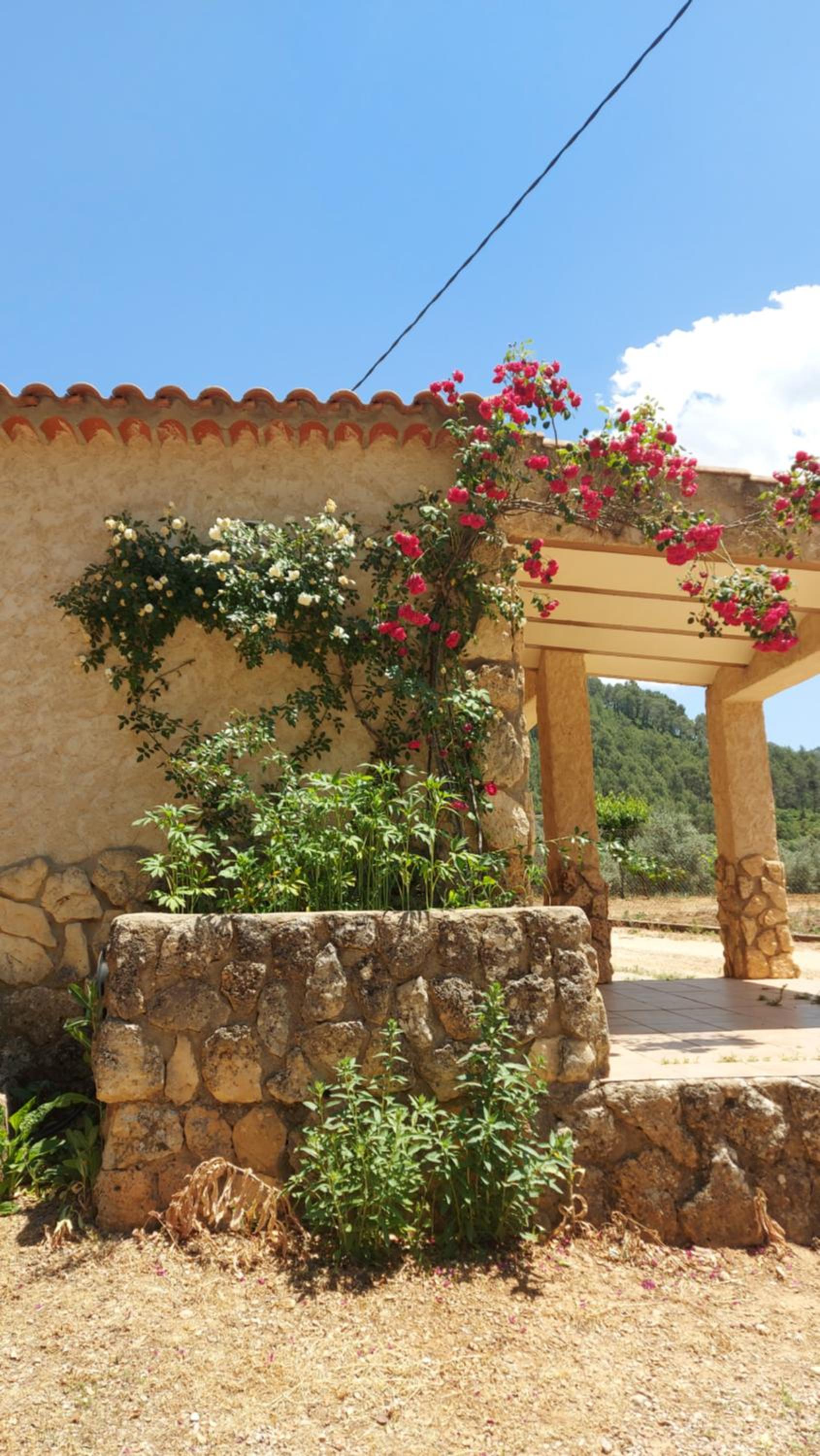 Casas rurales amable- yeste