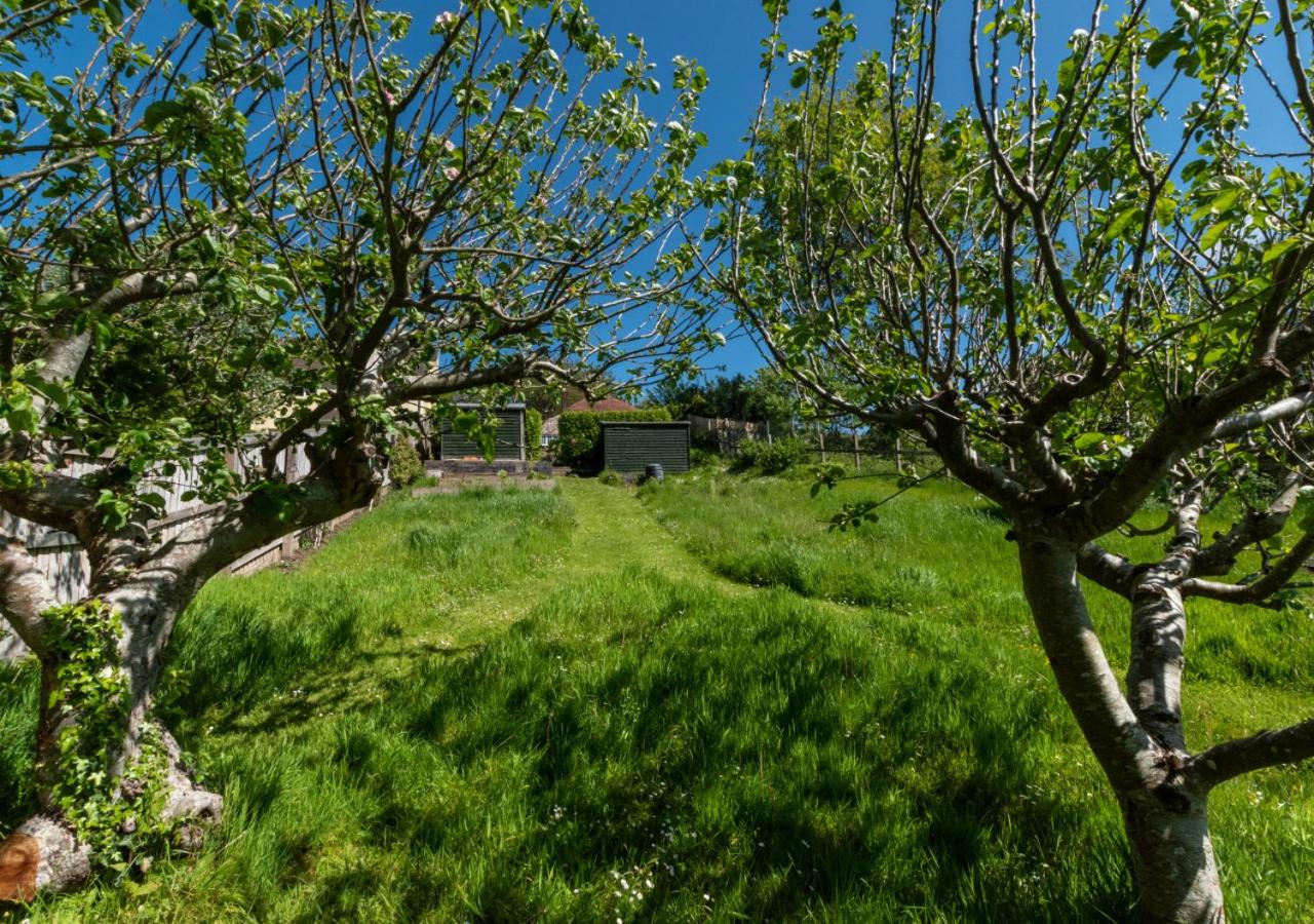 3 Bed in Berrynarbor oc-courtc