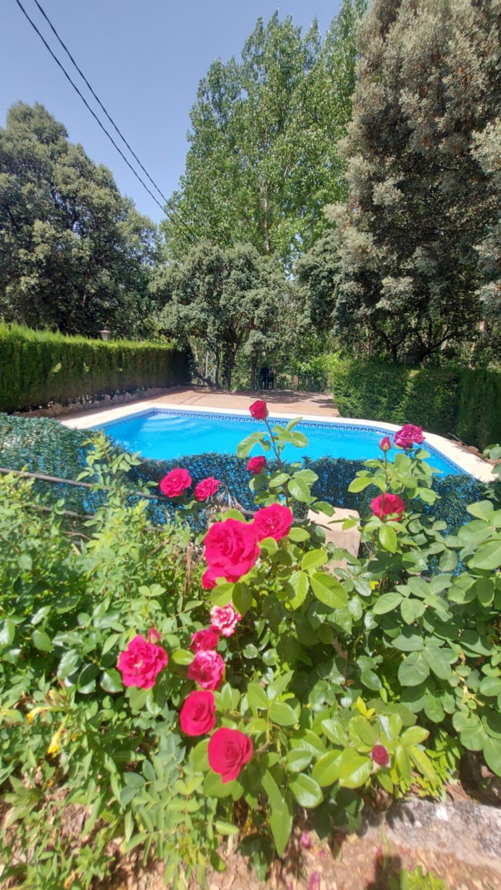 Casas rurales amable- yeste