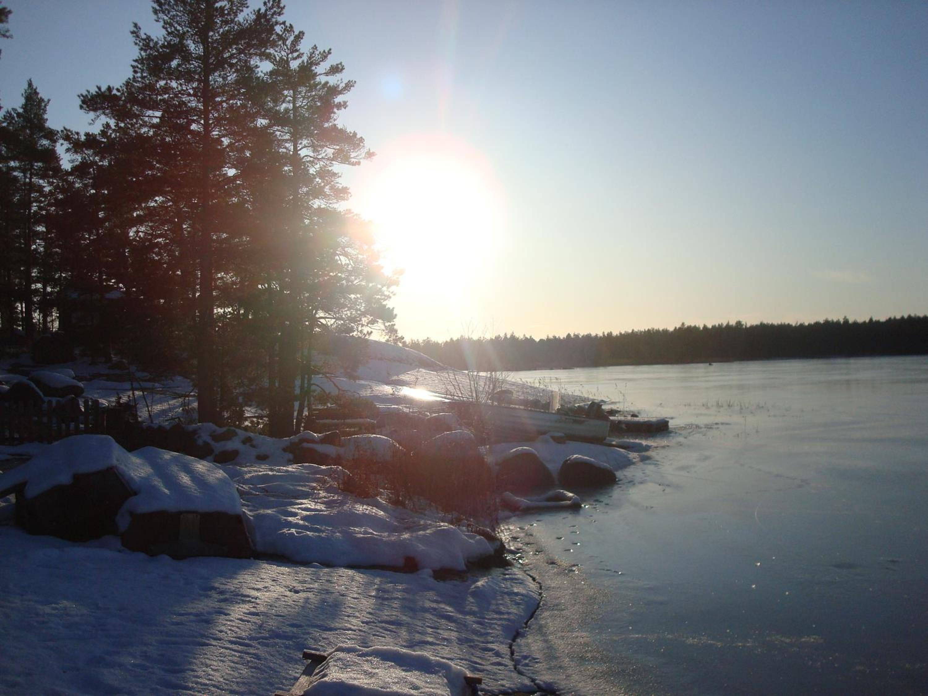 Photo 44