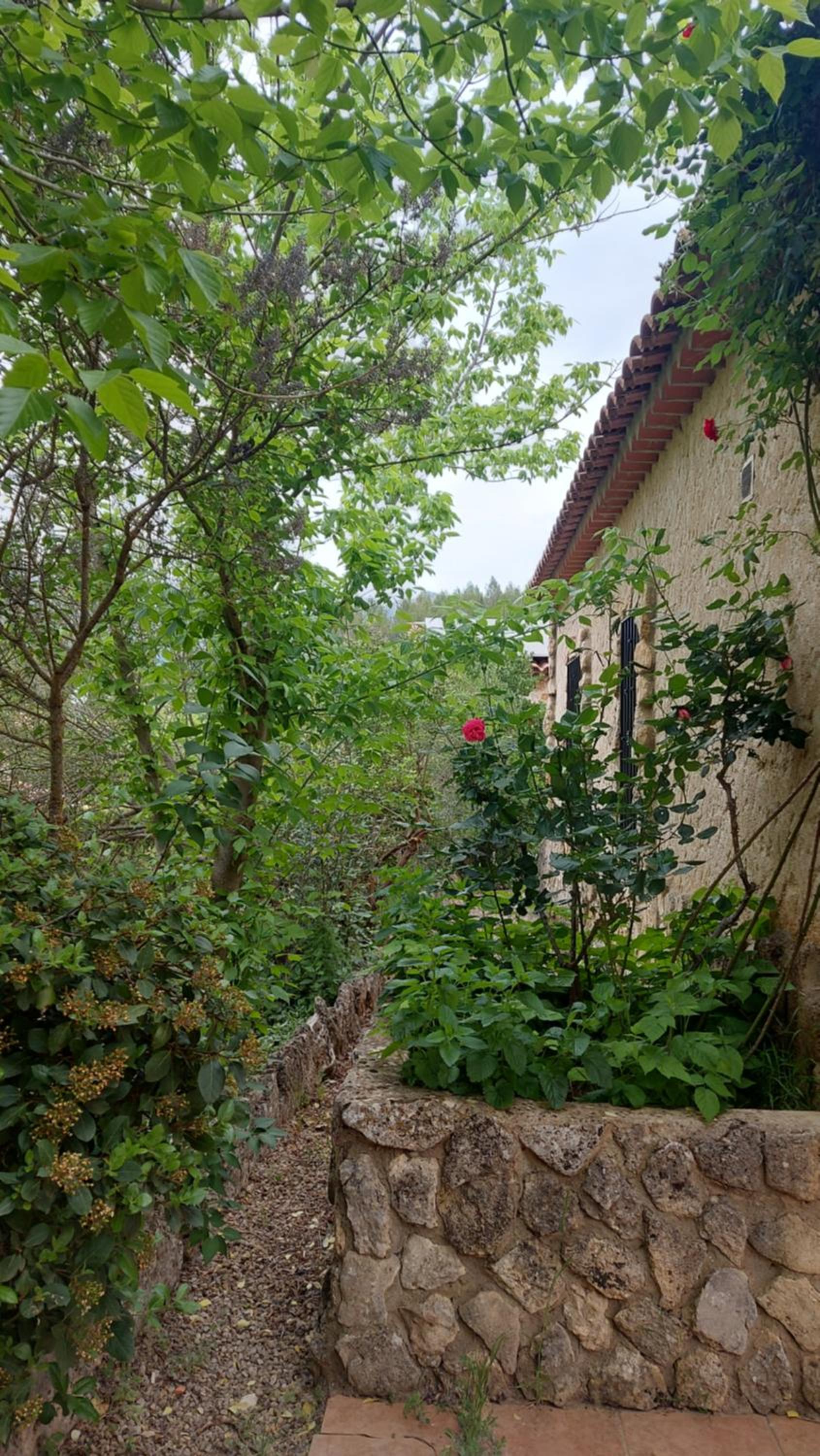 Casas rurales amable- yeste