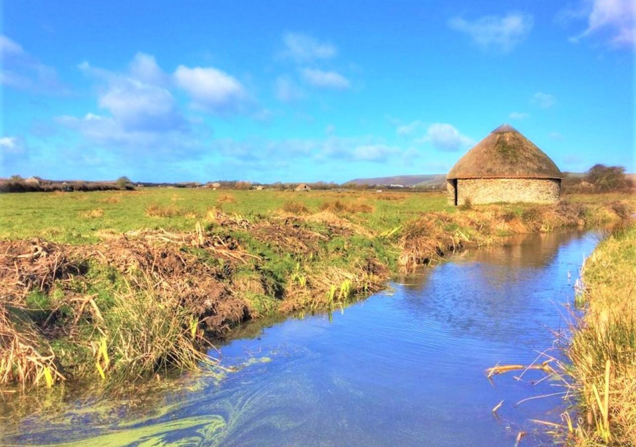 Dolphin Cottage