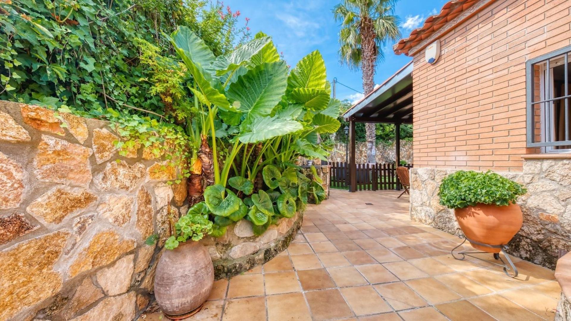 Costacabana - Villa Alba photo 4