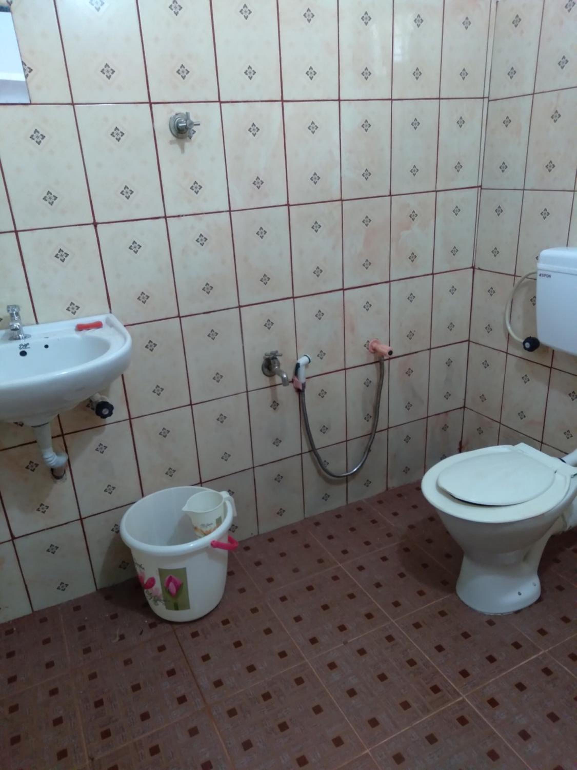 Homely Homes