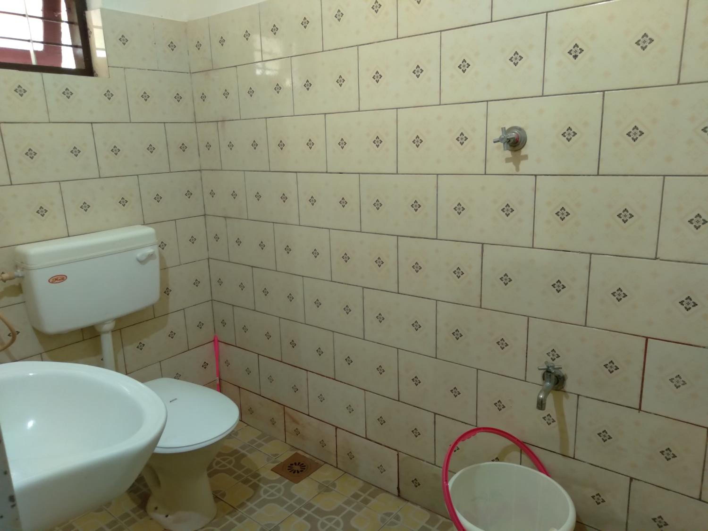 Homely Homes