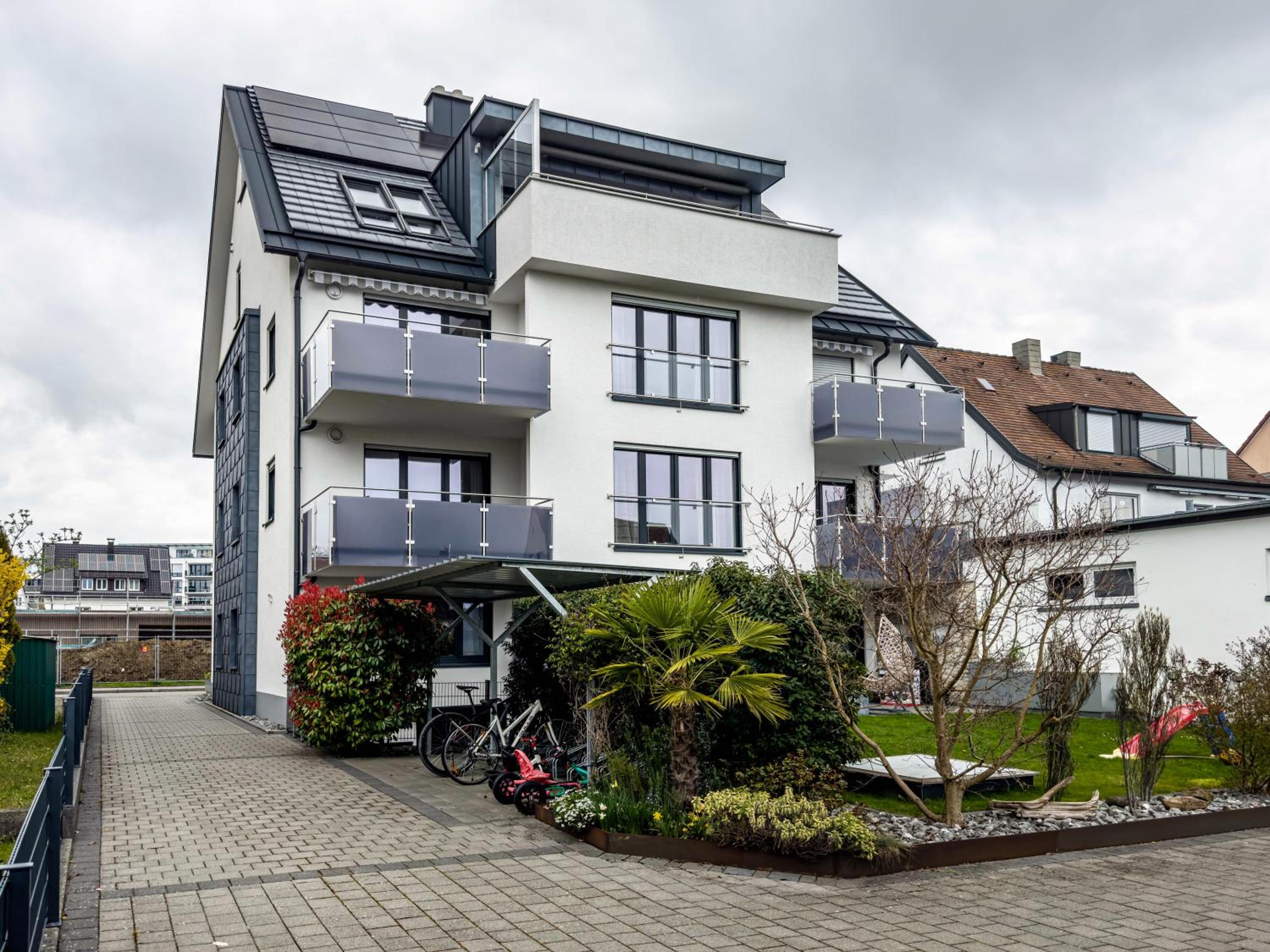 Amsel - Vogelhaus