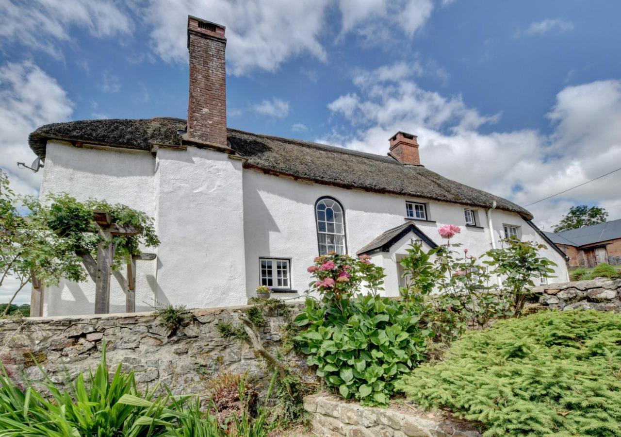 2 Bed in Rose Ash oc-nether
