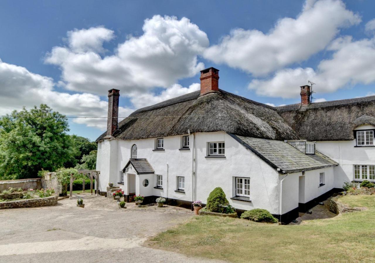 2 Bed in Rose Ash oc-nether