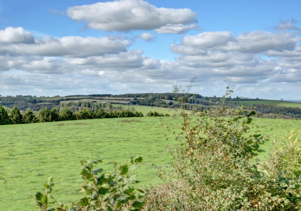 3 Bed in Burrington oc-northc