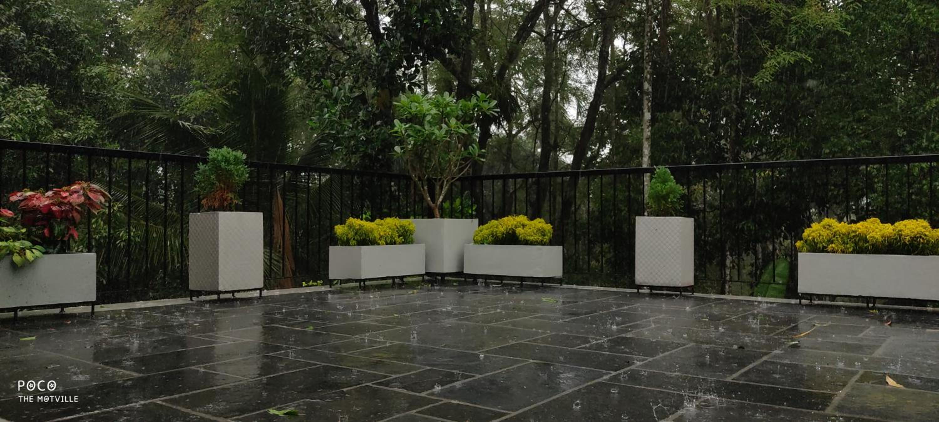 Photo 71