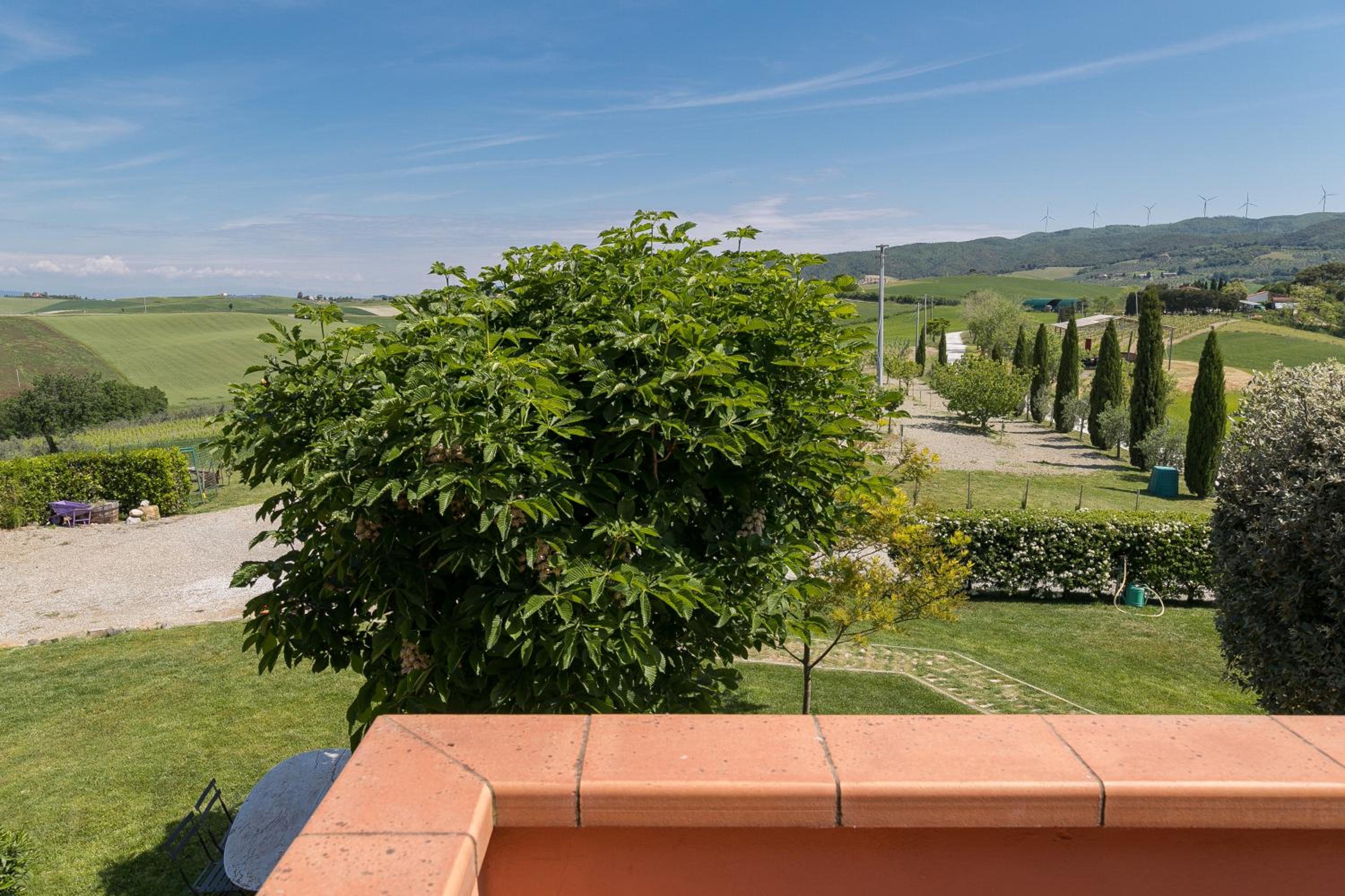 Acacia