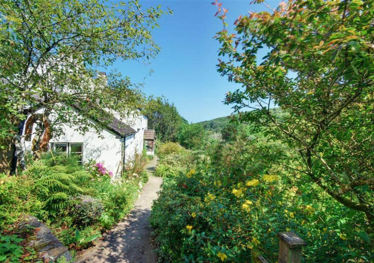 Peppercombe Holt