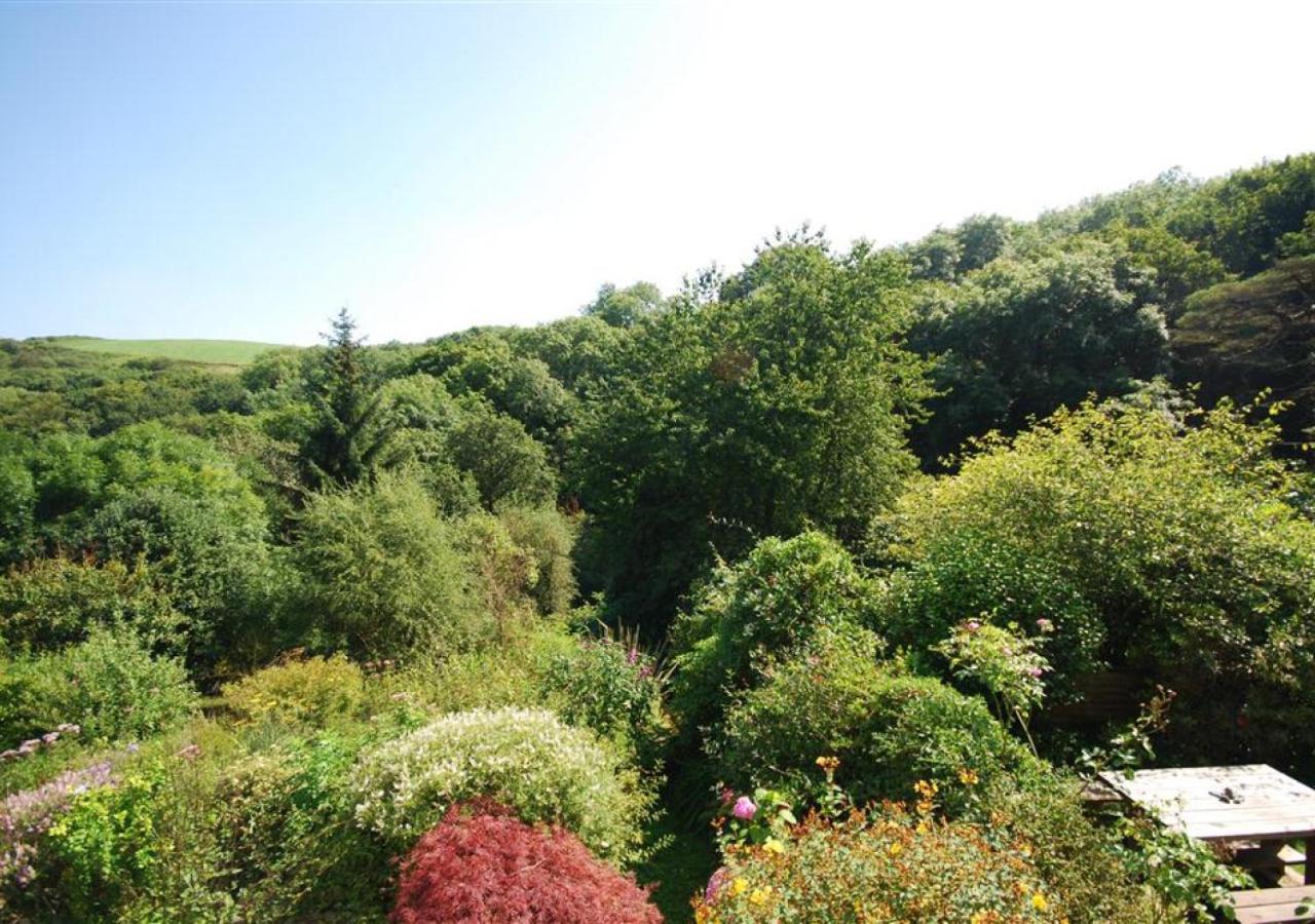 Peppercombe Holt