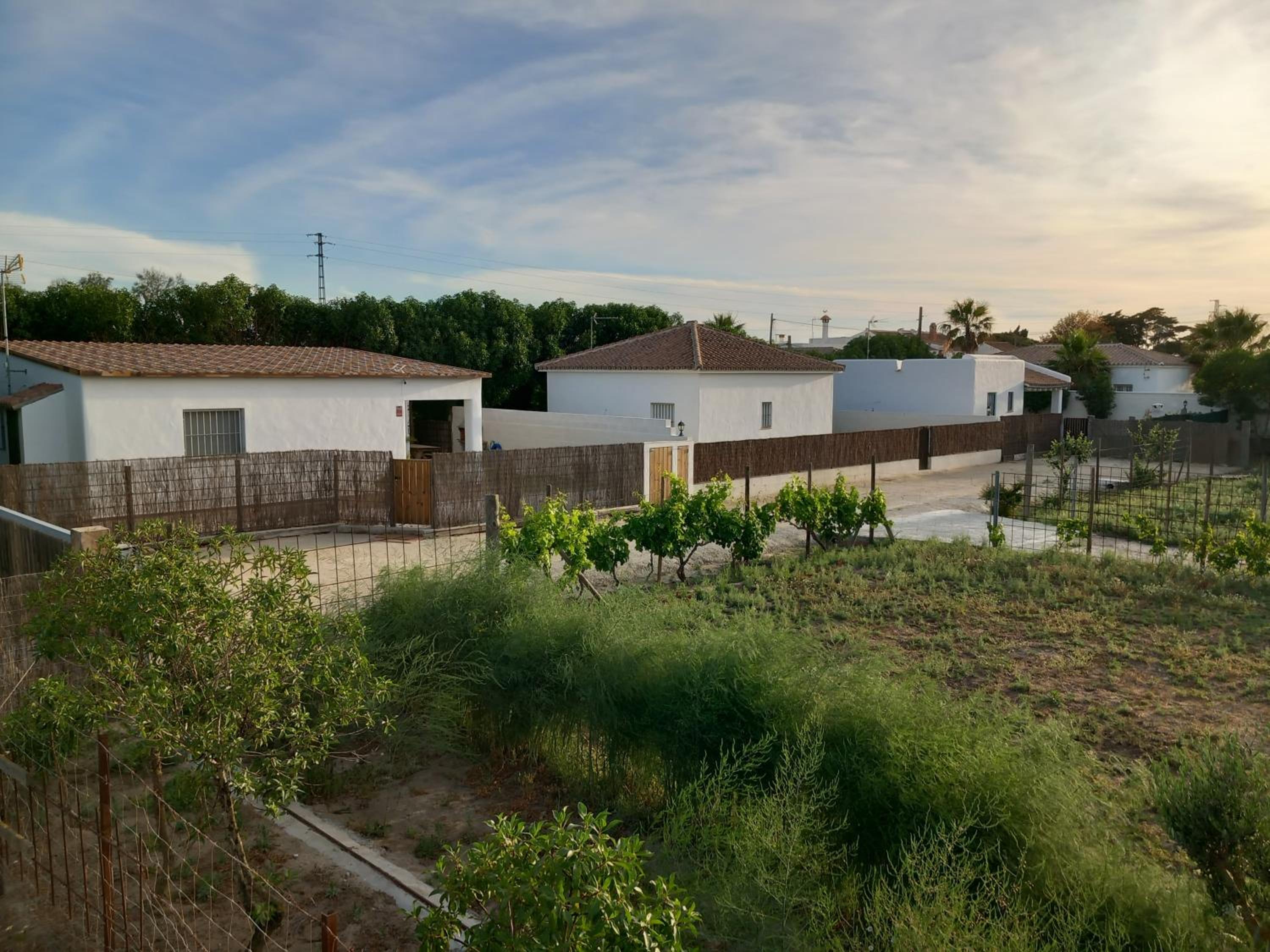 Apartamentos Cala Isabel