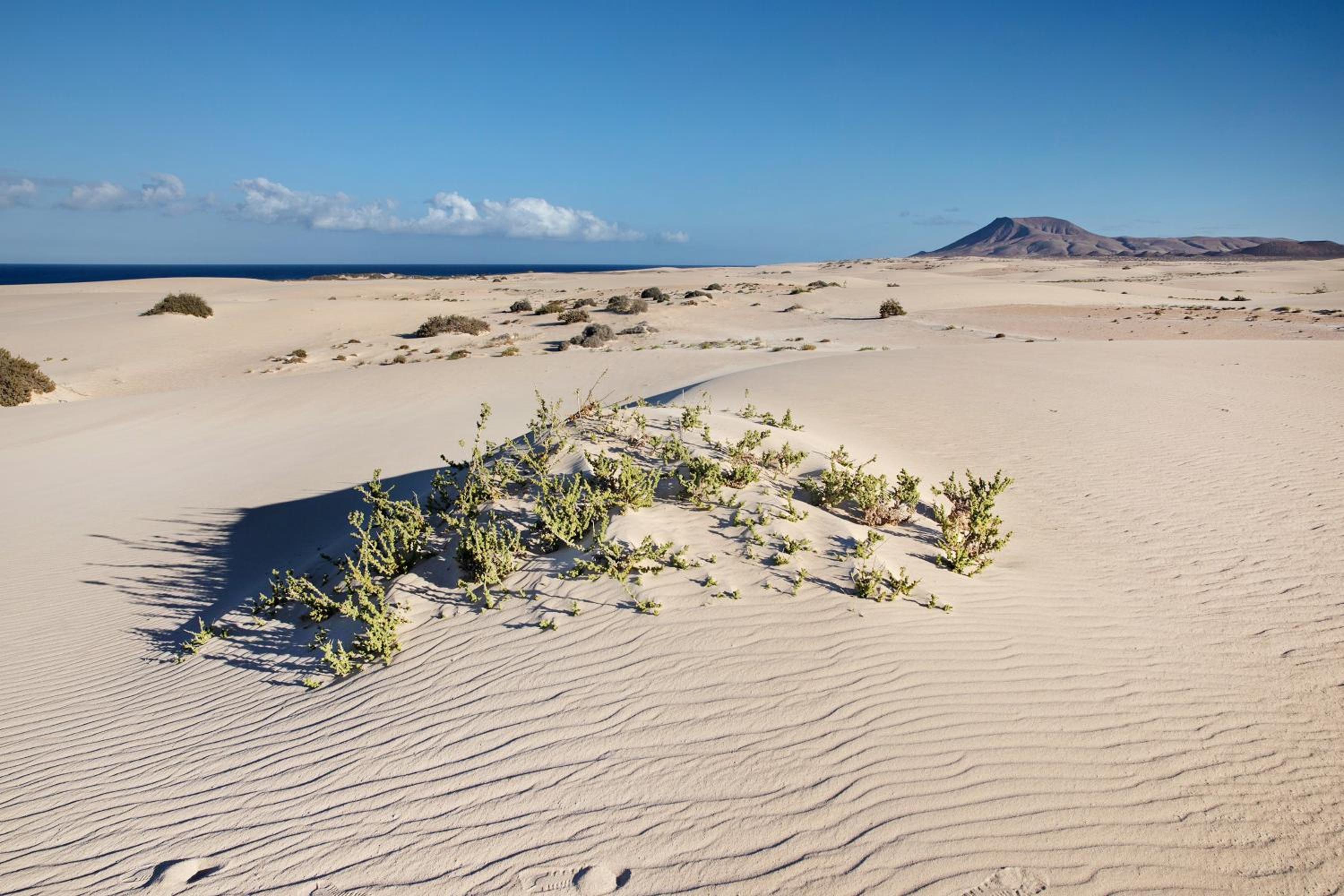 Las Fuentes Corralejo