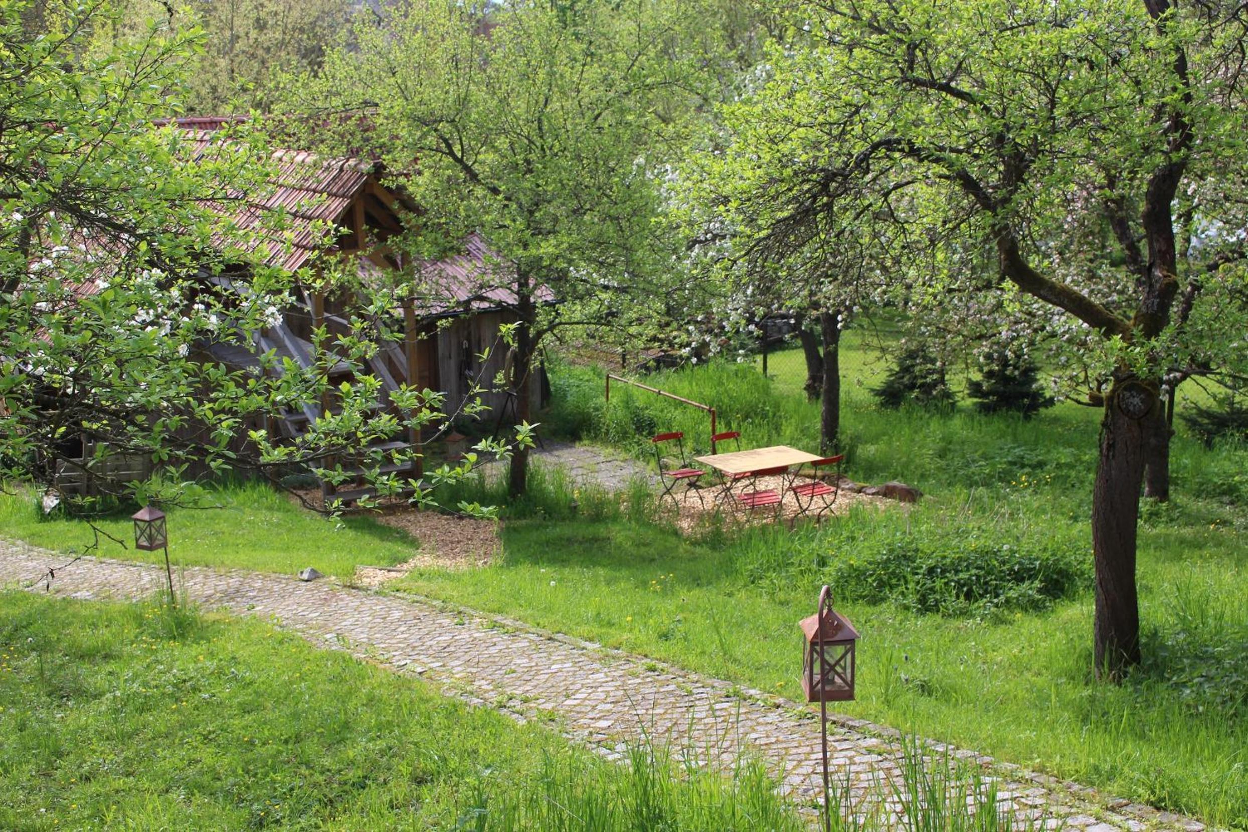 Photo 8