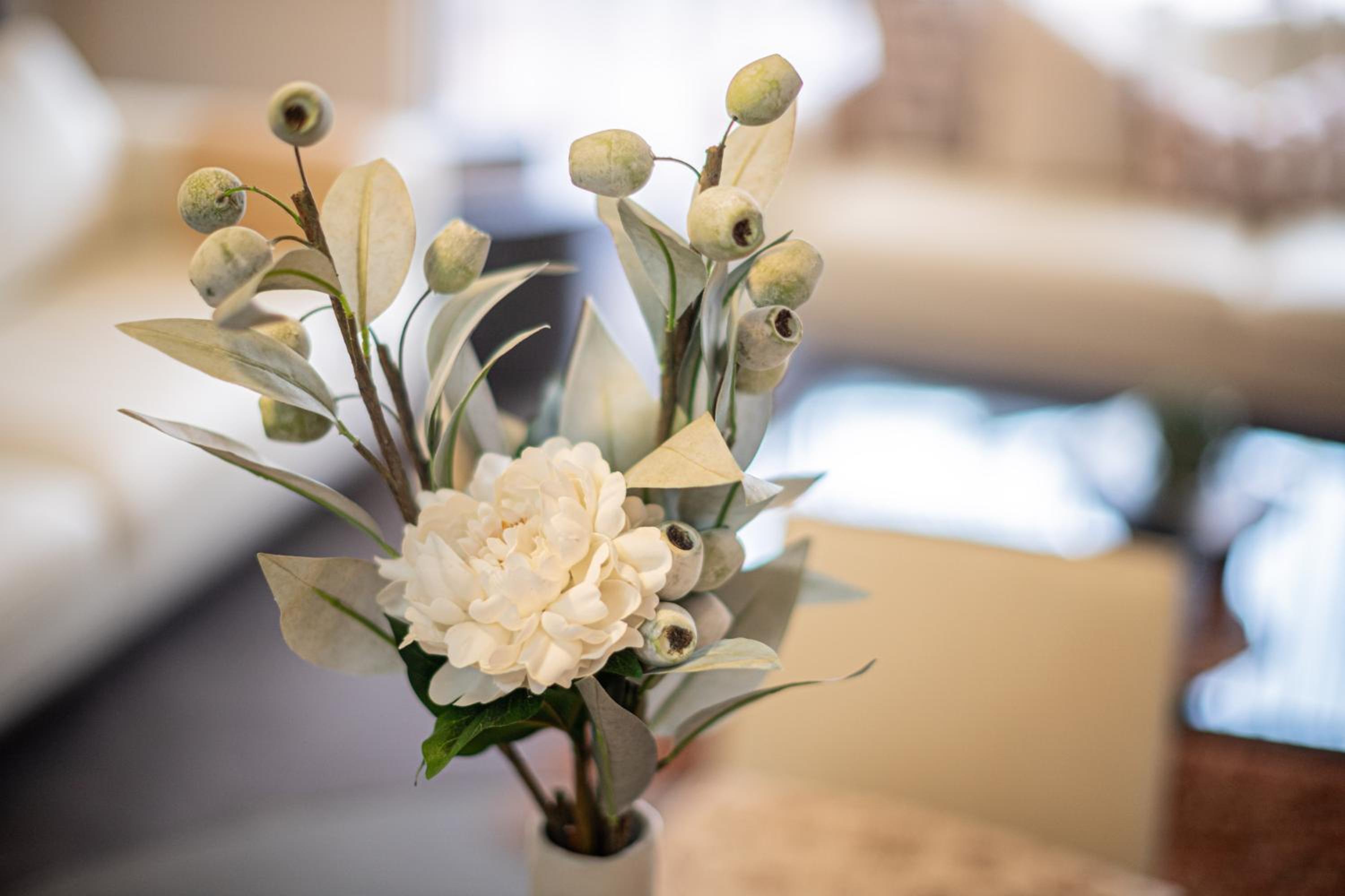 Prime 2BR Suite on Mounts Bay Road