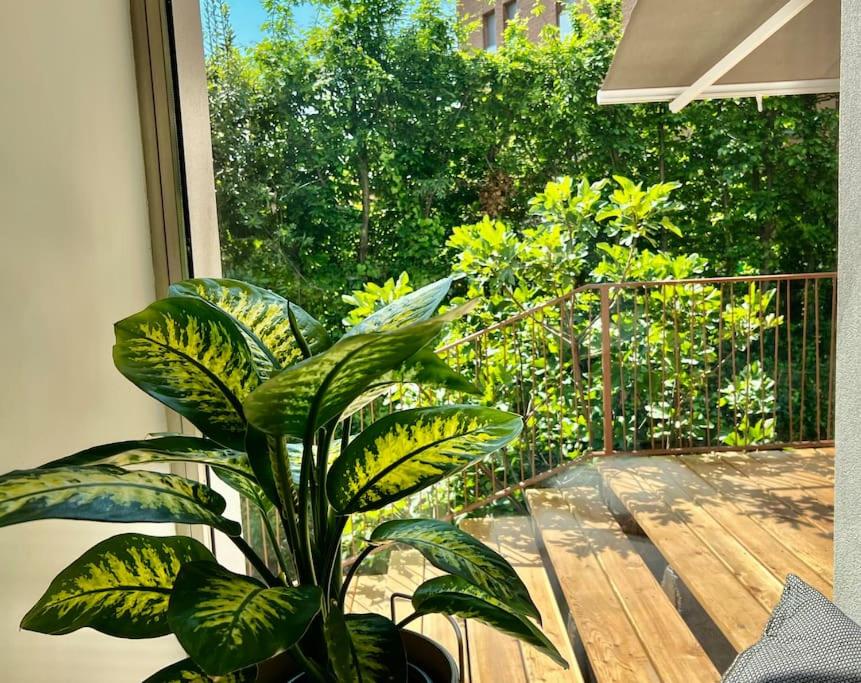 STUDIO 14 - apt di design con vista photo 5