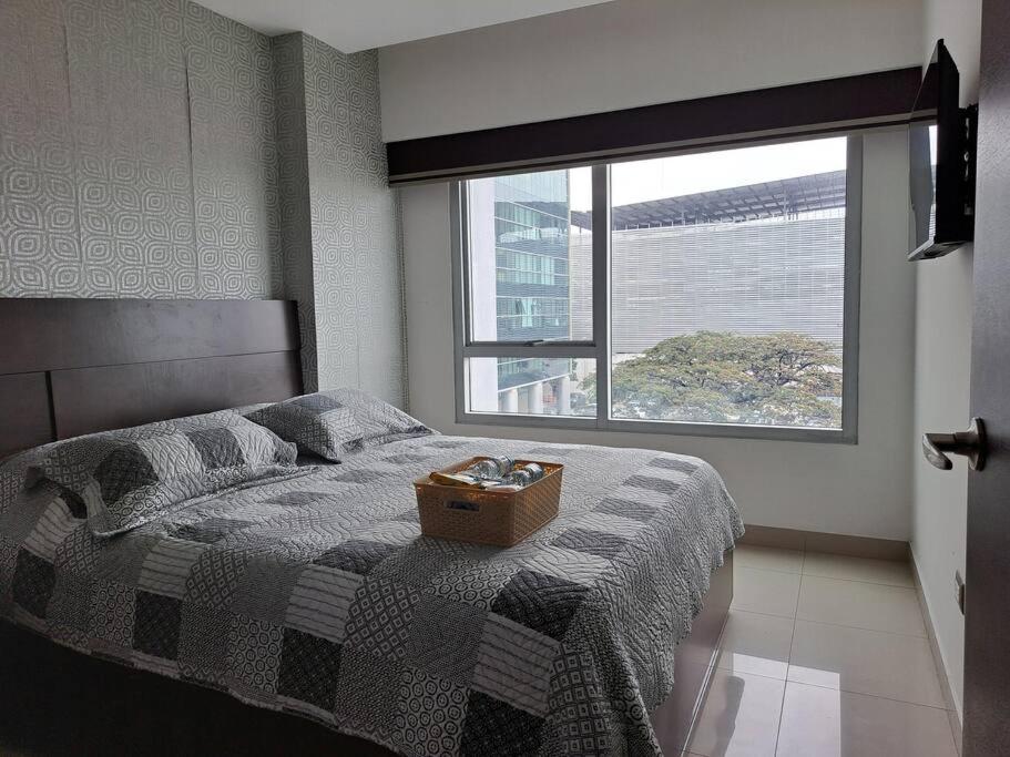 PLATINO SUITE CON PISCINA, GIMNASIO Y PARQUEO
