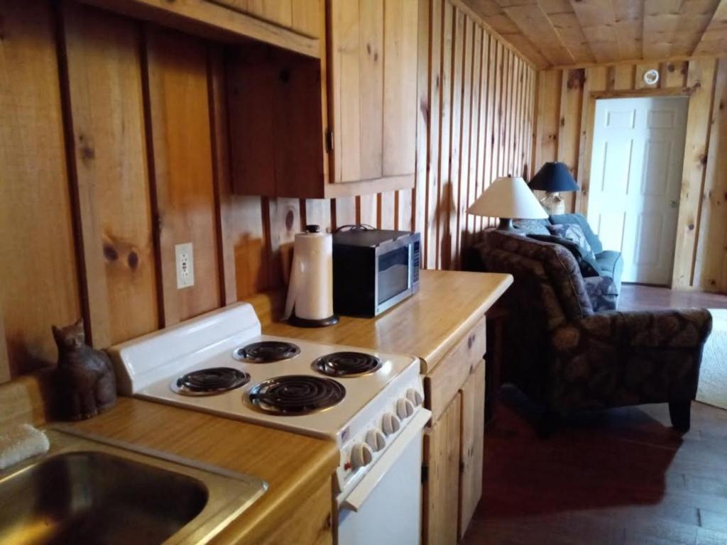 Photo 48
