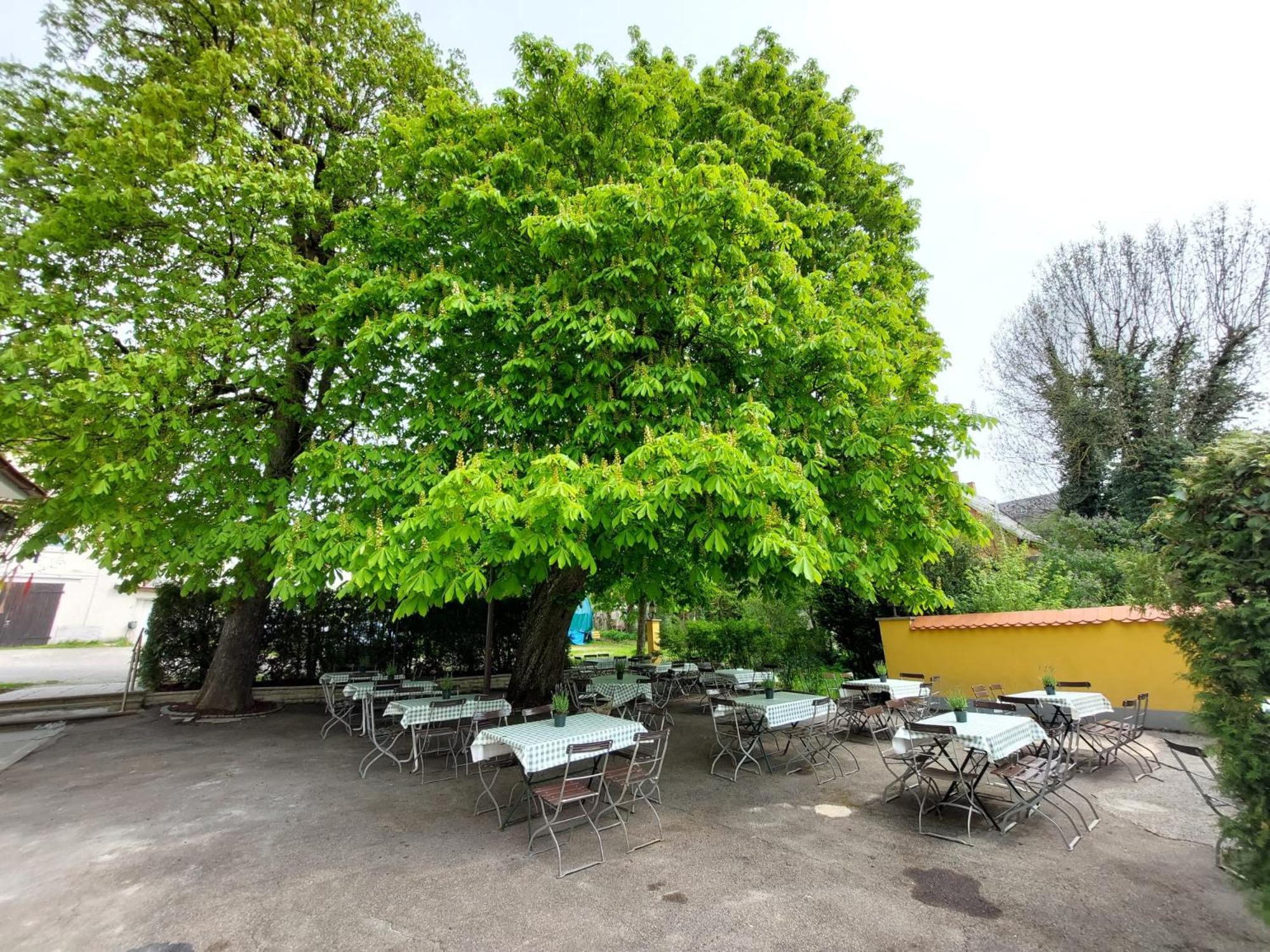 Brauereigasthof Schlüsselkeller