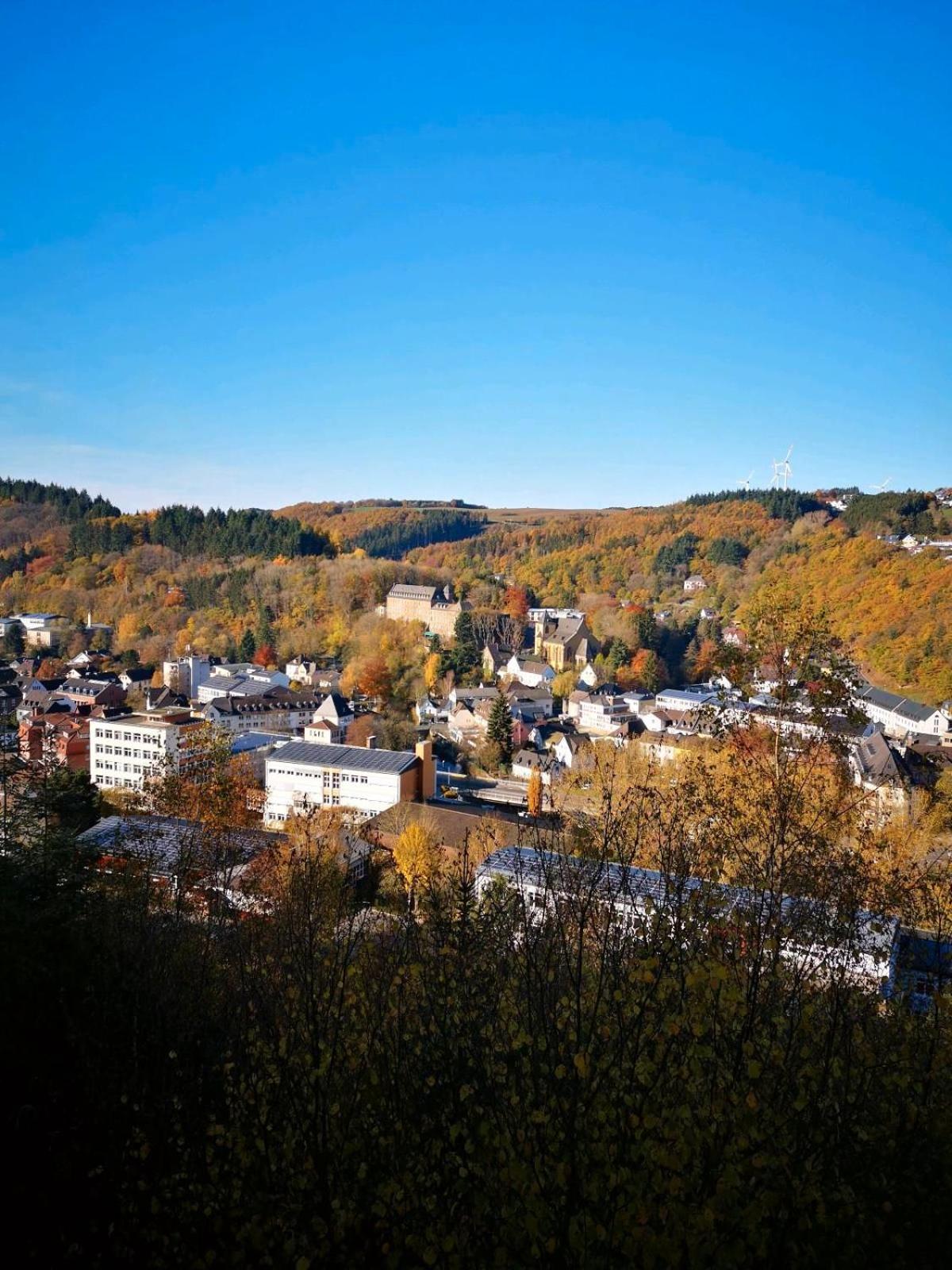 Ferienwohnung in Waldrandlage in Nationalpark Schleiden / Eifel
