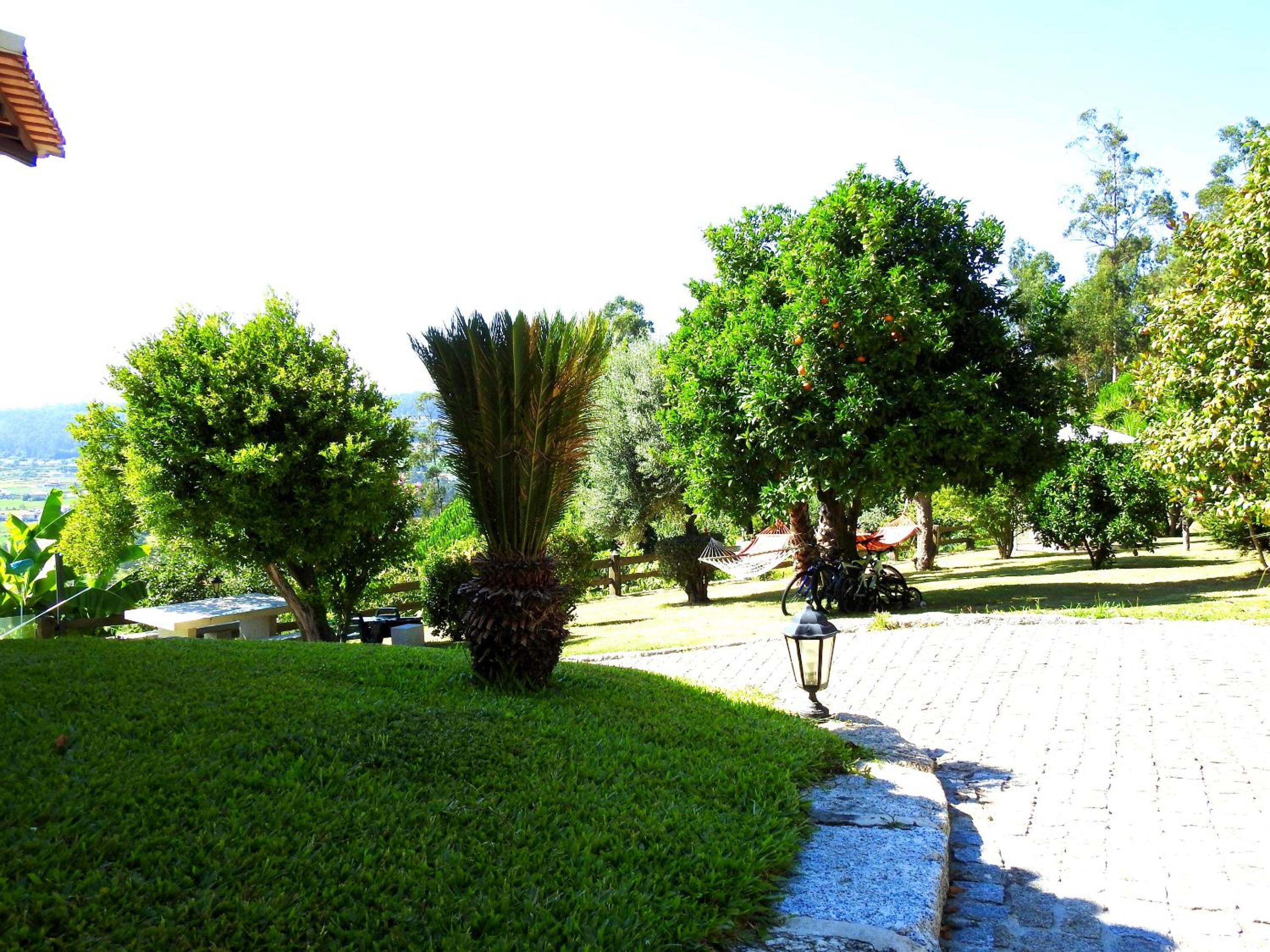 Photo 57
