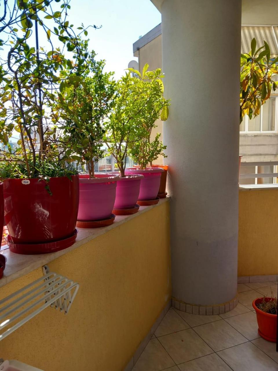 Holiday Center Apartment
