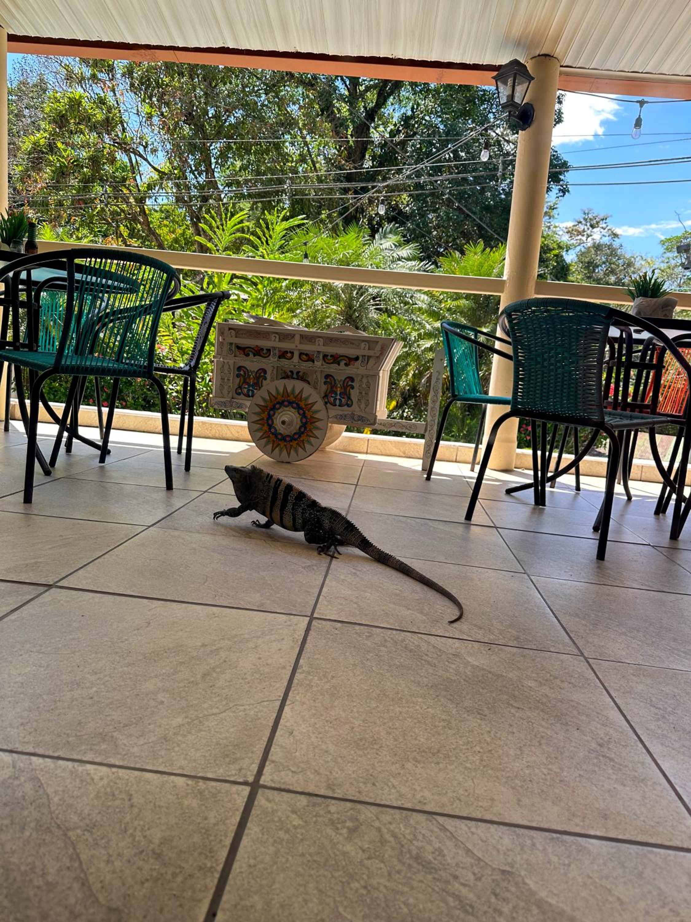 Hospedaje Colibri
