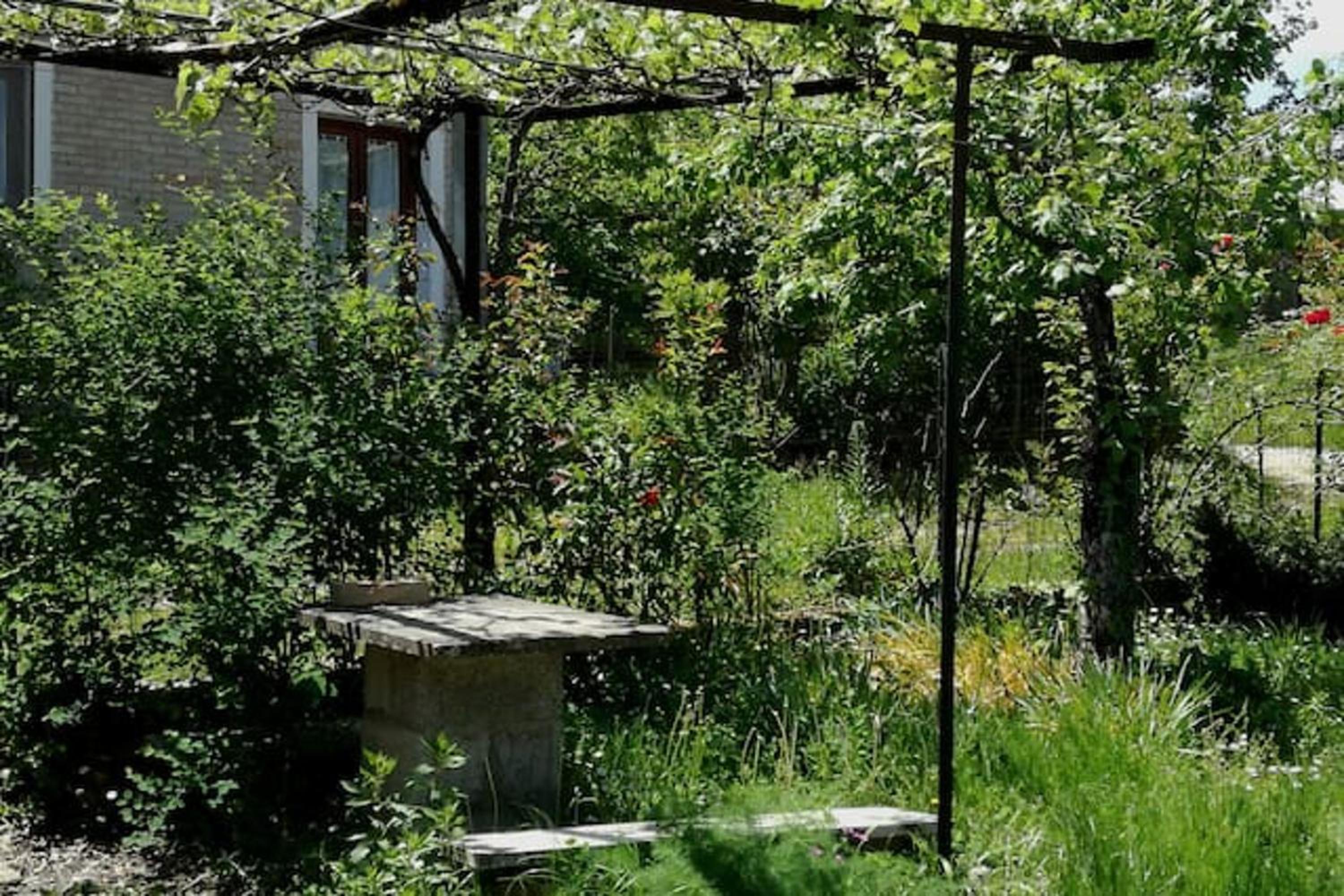 Photo 17