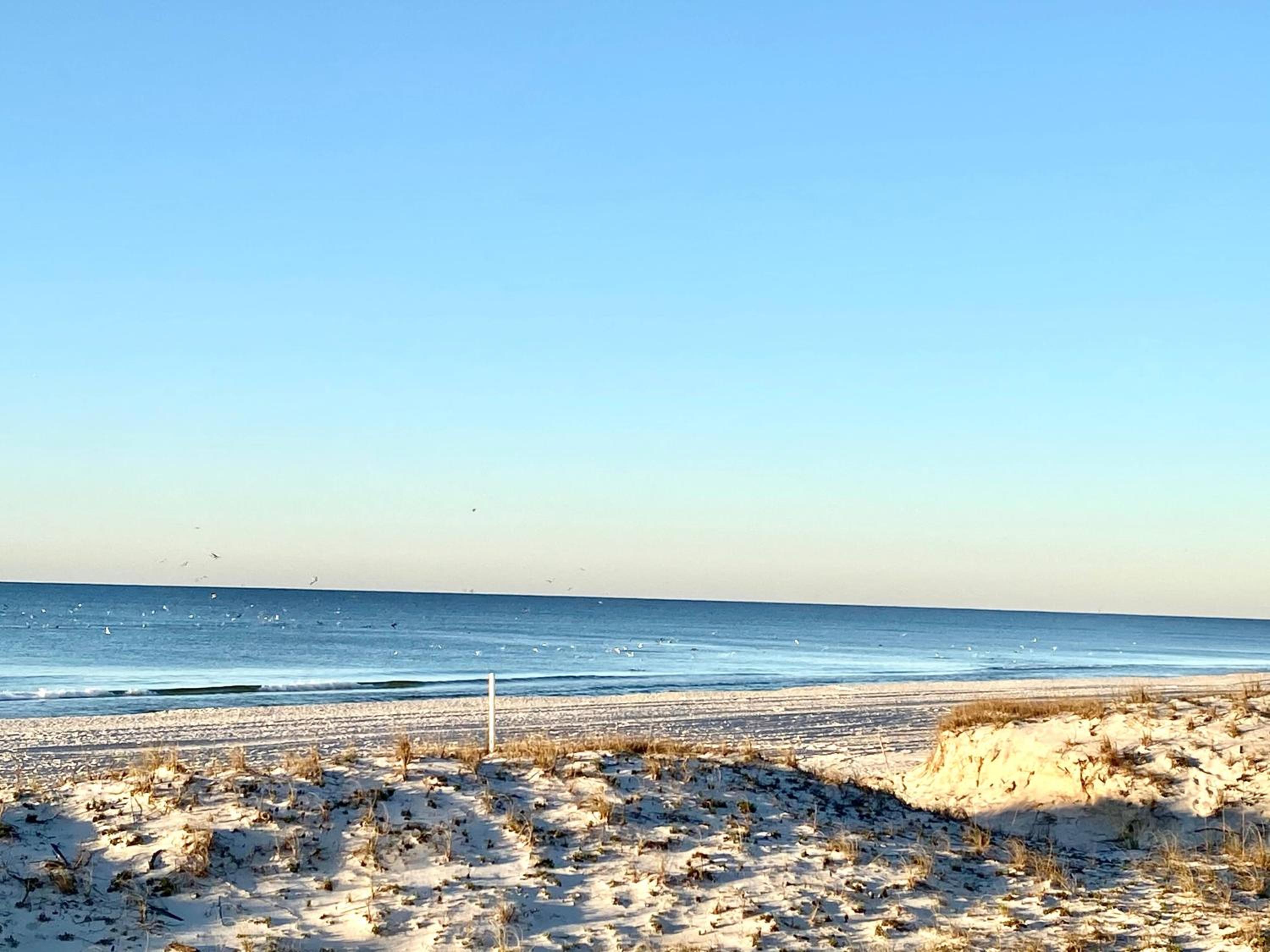 Sunrise Village 116 by ALBVR - Just steps to the beach in this cute condo view 2