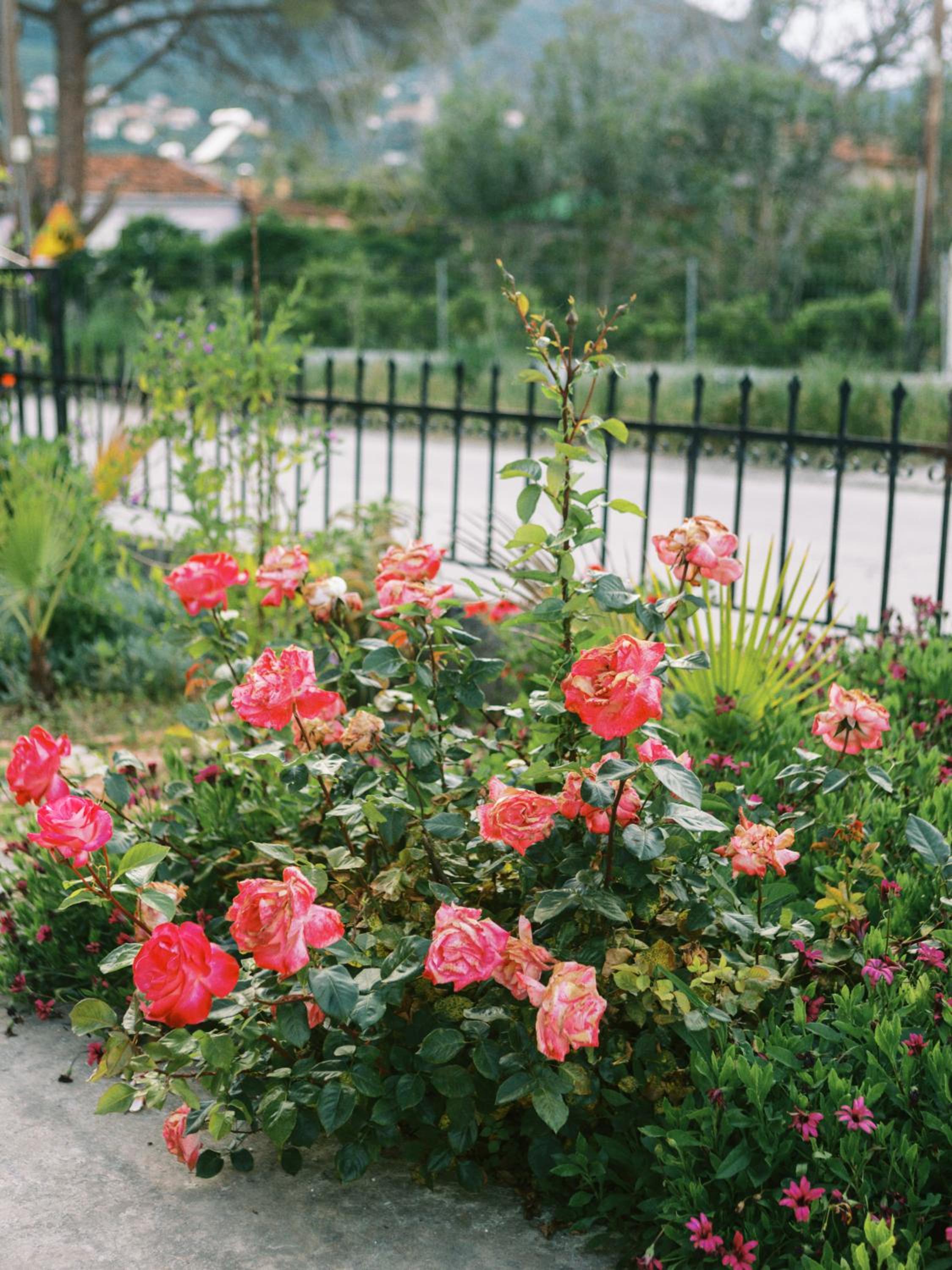 Casa Yasmina photo 5