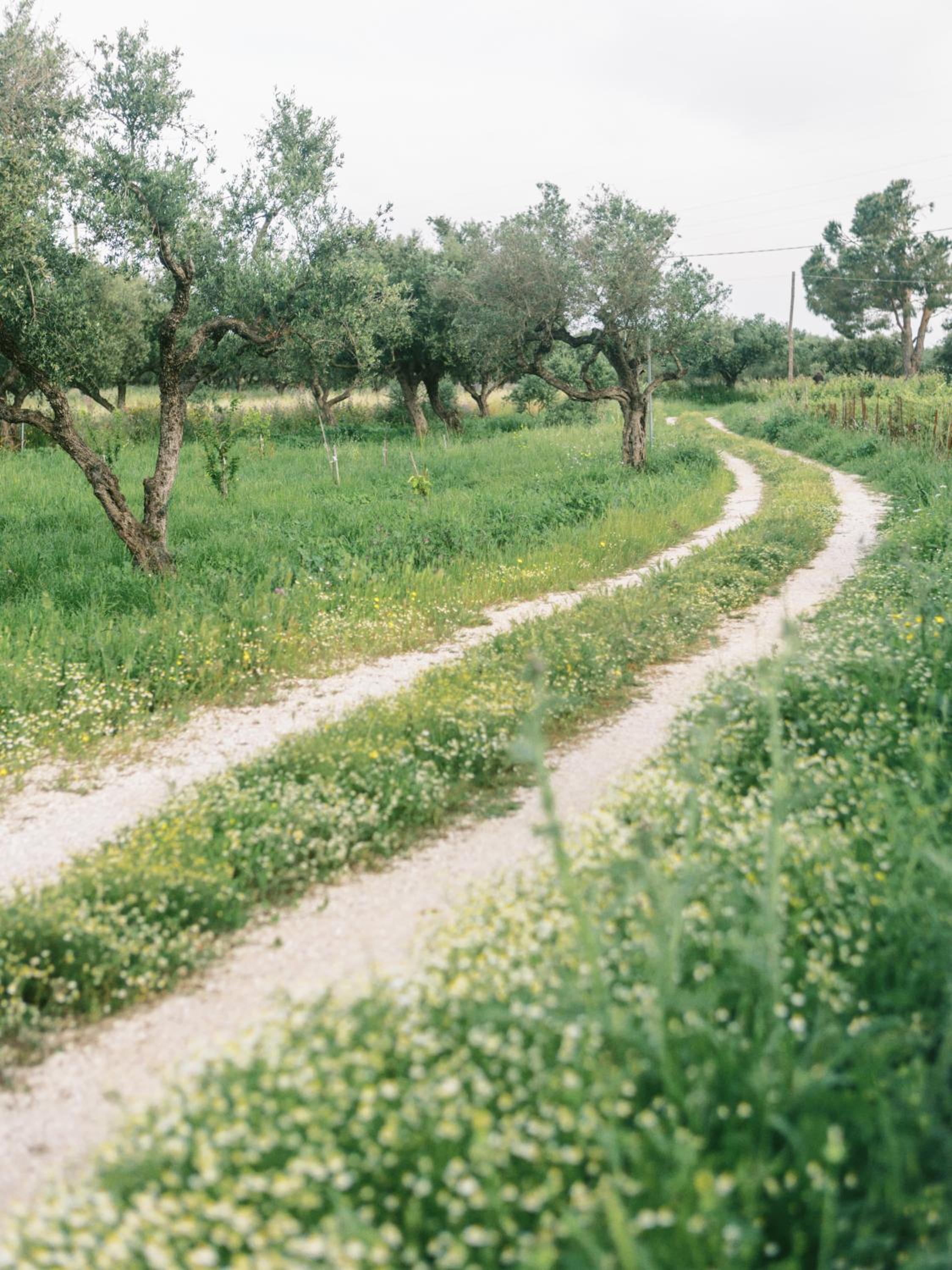 Casa Yasmina photo 4