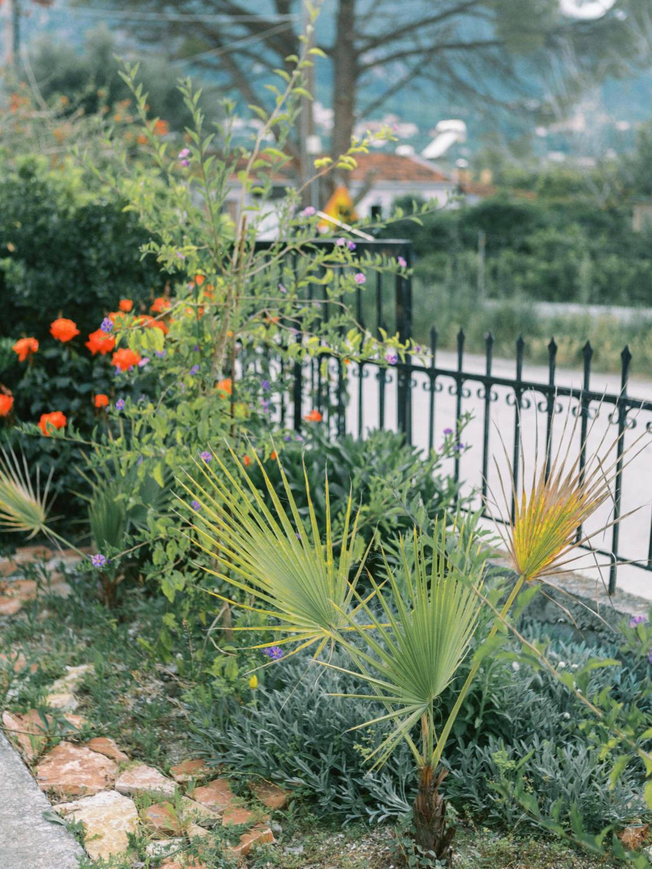 Casa Yasmina photo 3