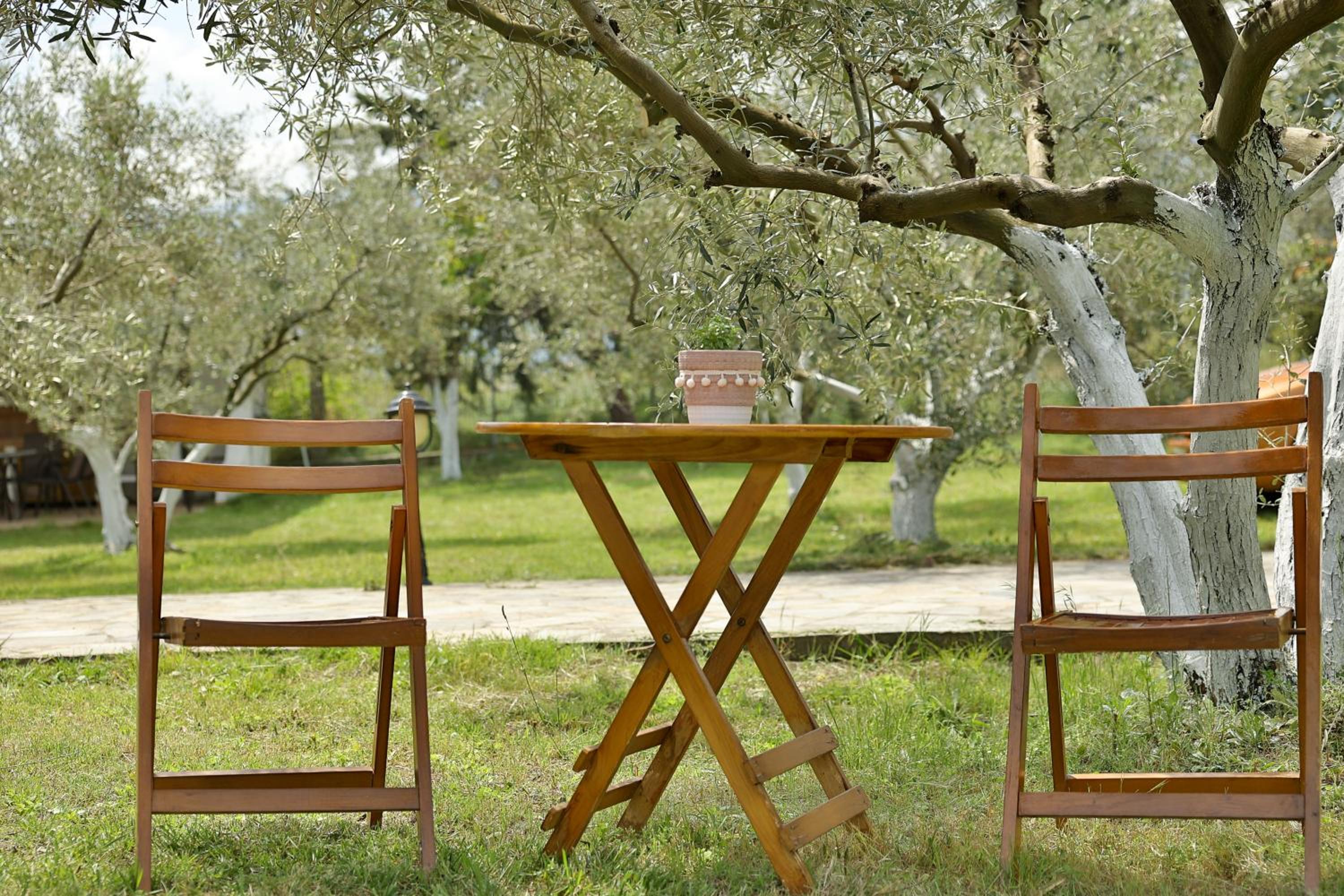 OlympPlace Olive House-Ground floor